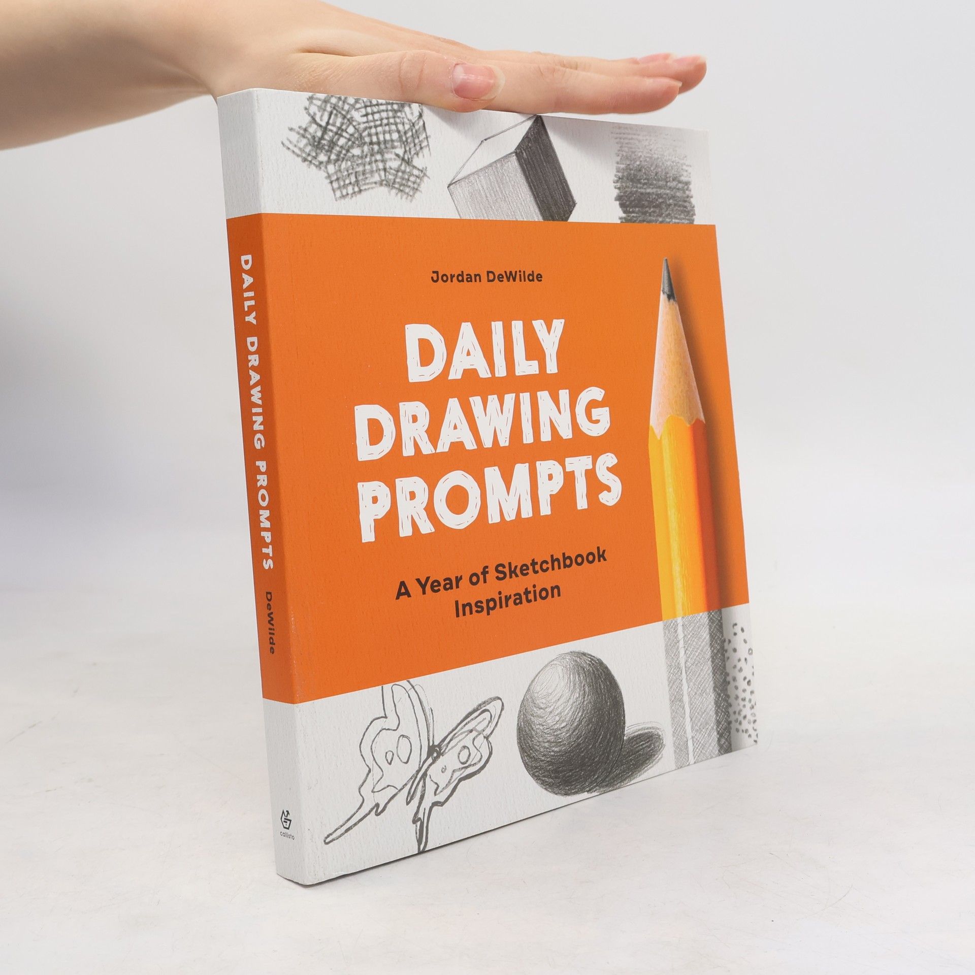 Jordan Dewilde Daily Drawing Prompts