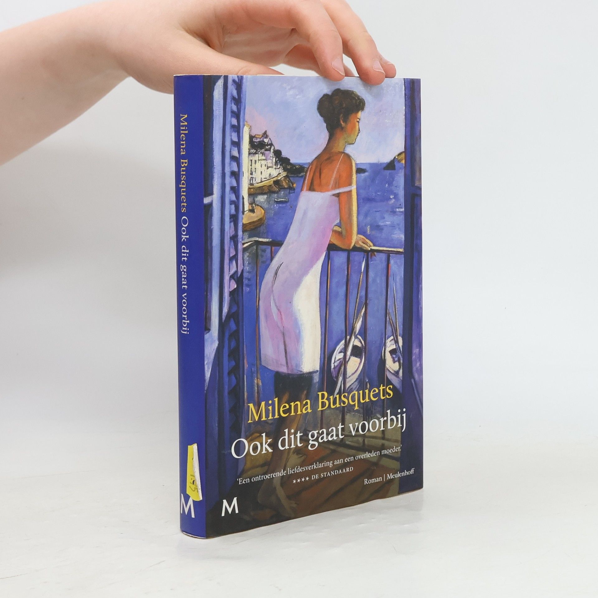 Milena Busquets Ook dit gaat voorbij