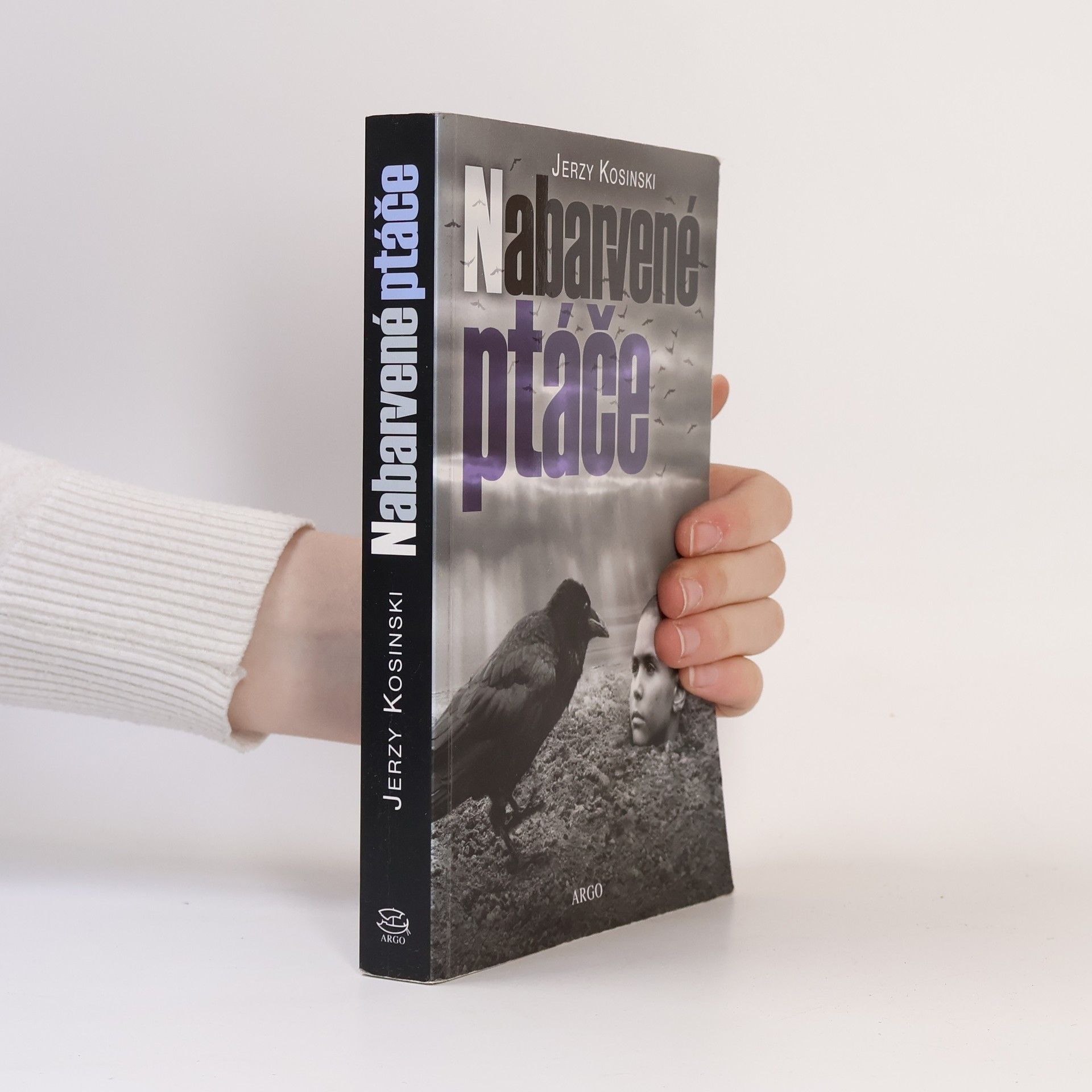 Jerzy Kosiński Nabarvené ptáče