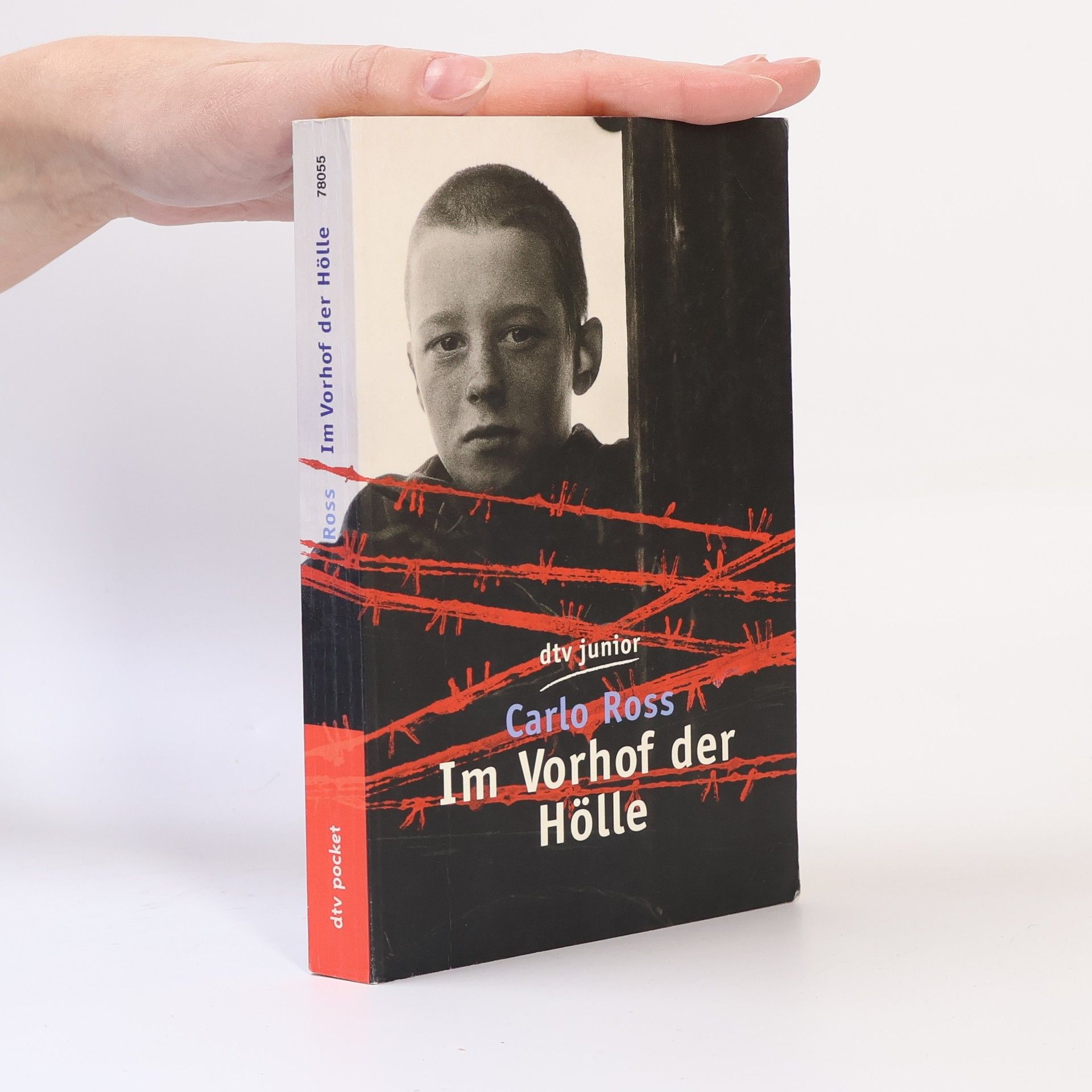 Carlo Ross Im Vorhof der Hölle