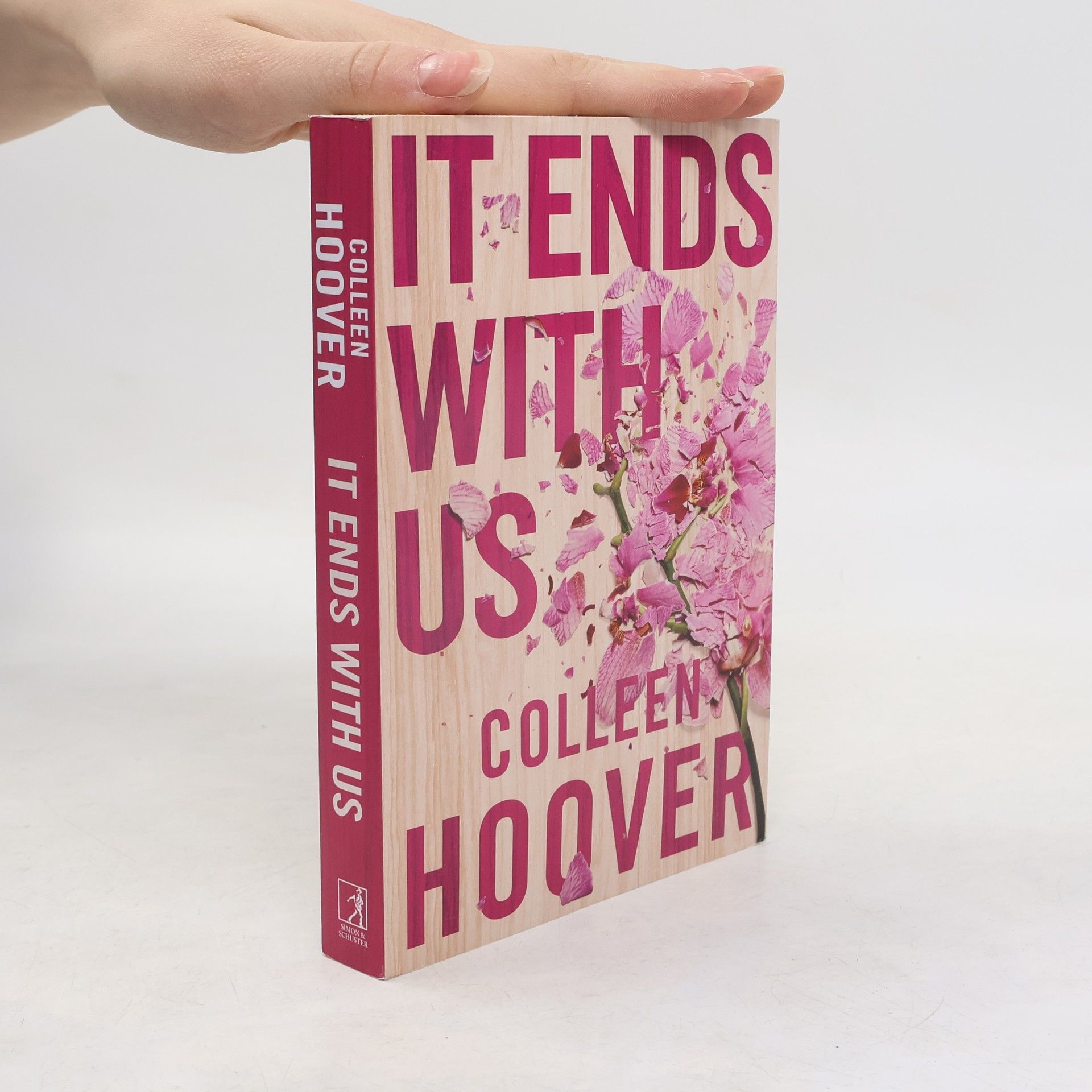 Colleen Hoover It Ends With Us