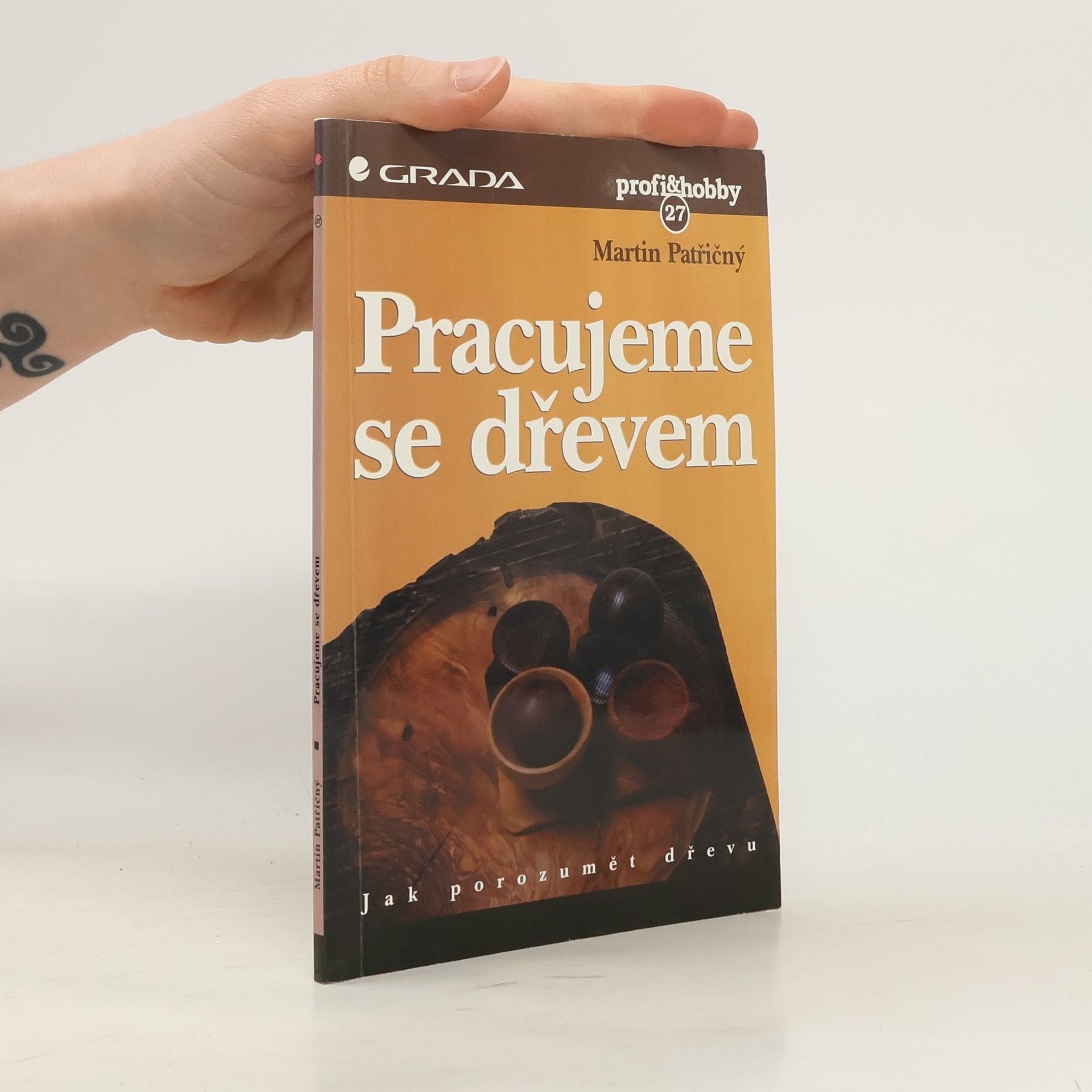 Martin Patřičný Pracujeme se dřevem