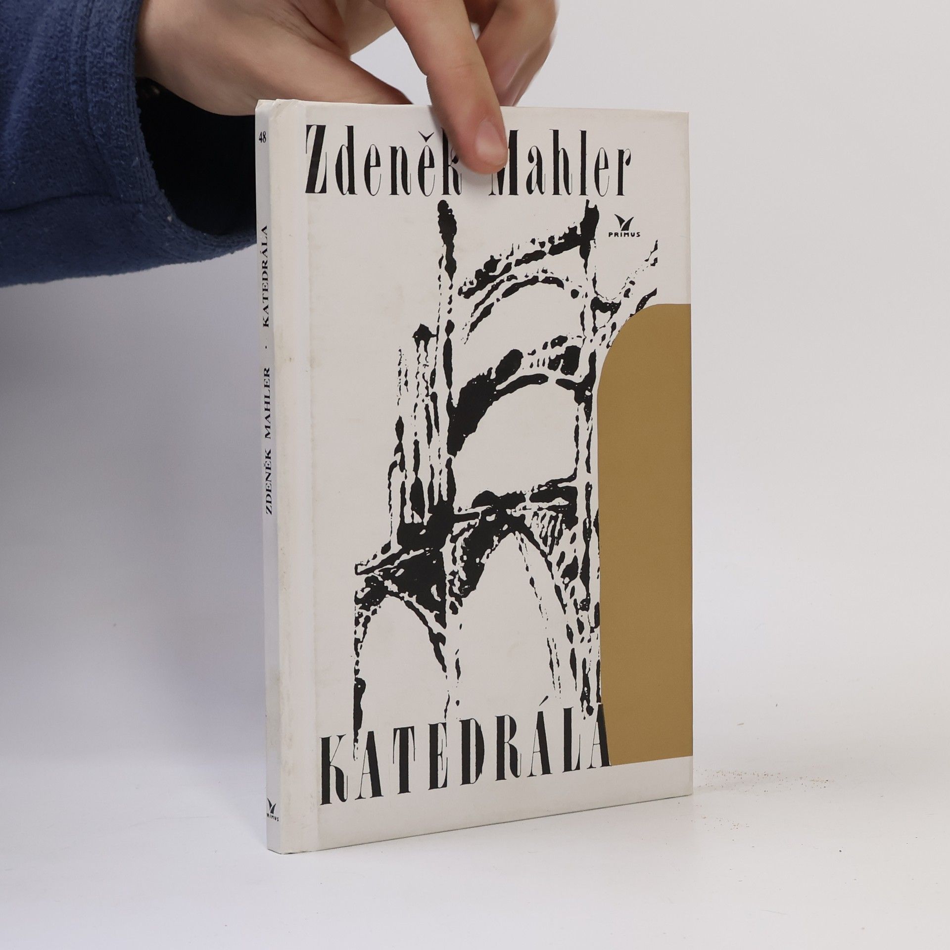 Zdeněk Mahler Katedrála