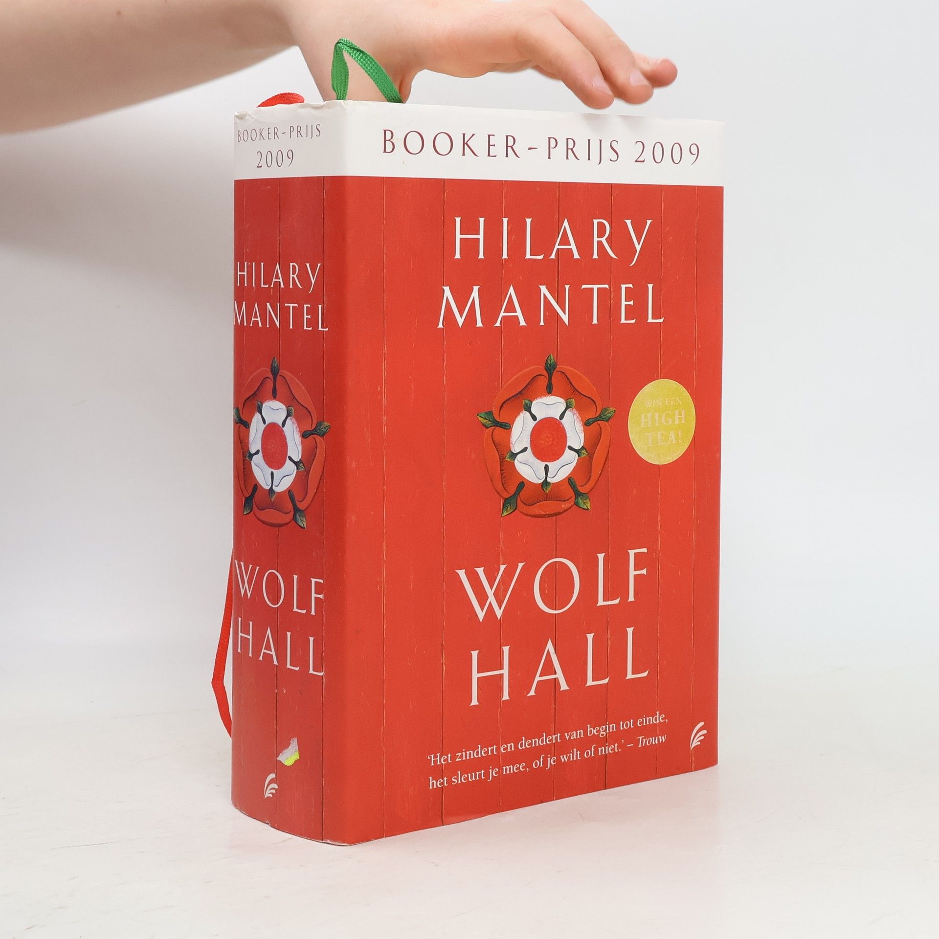Ineke Willems Tudor Trilogie - 1: Wolf Hall
