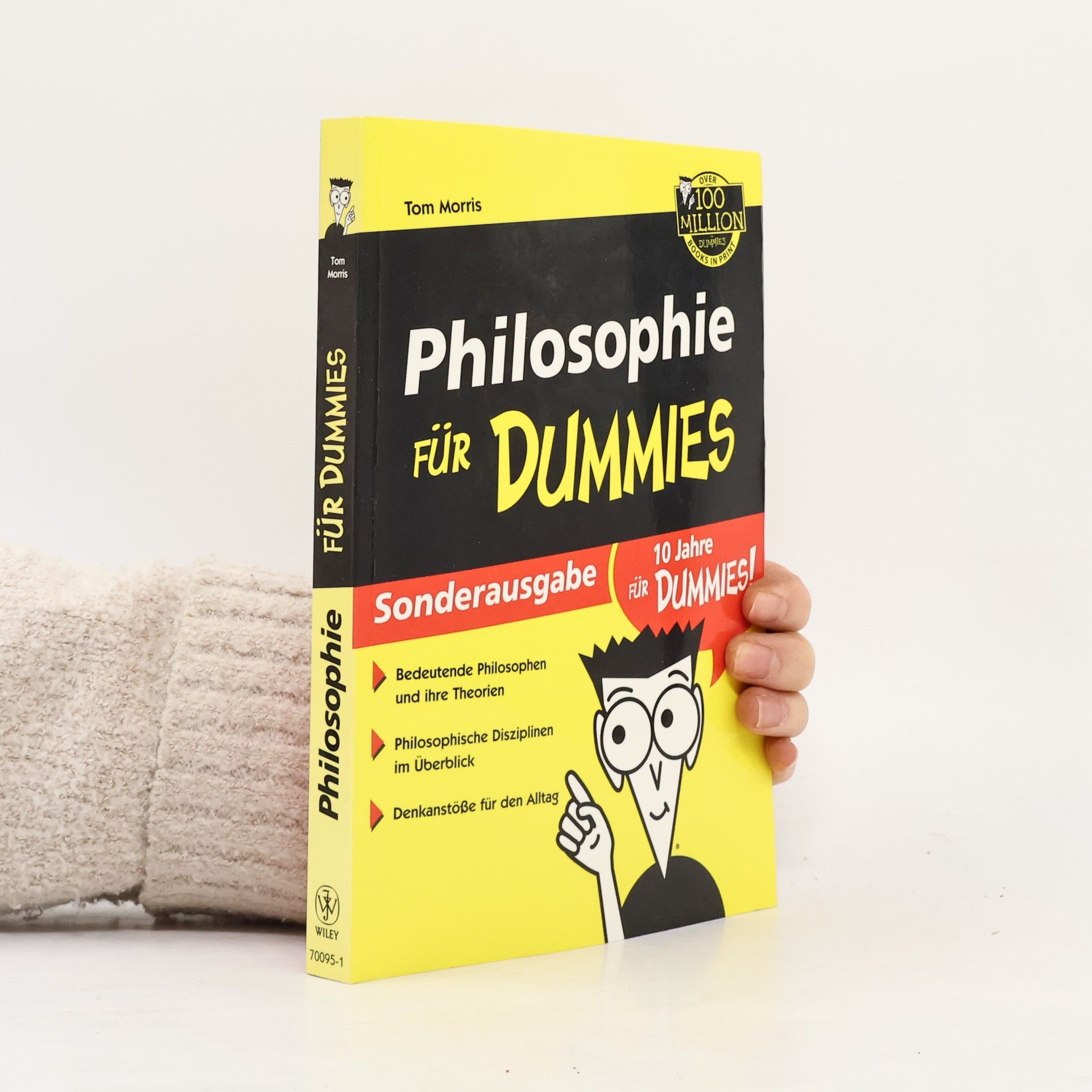 Tom Morris Philosophie für Dummies