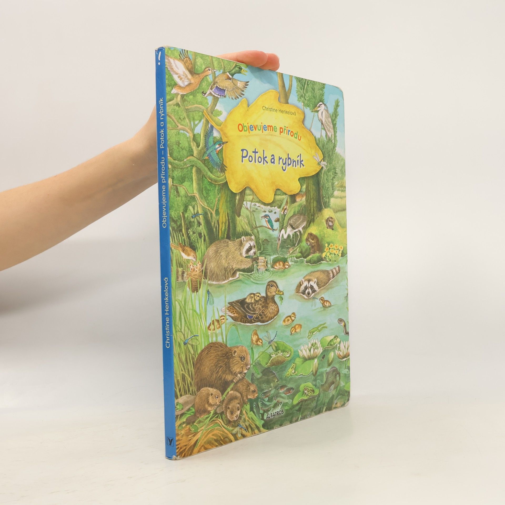 Christine Henkel Potok a rybník