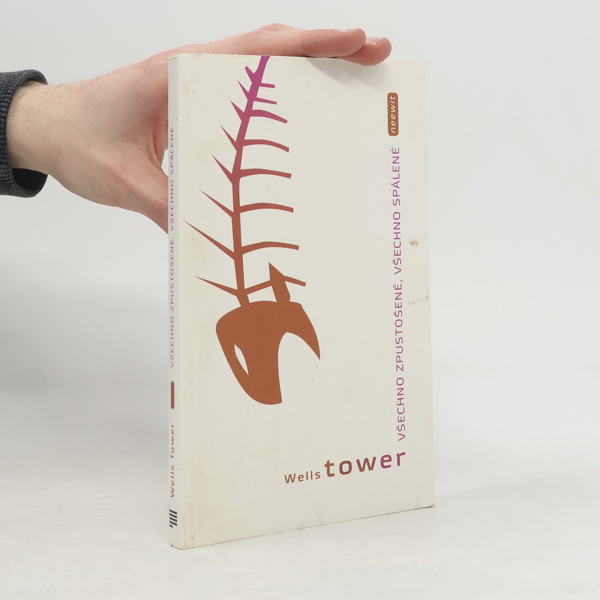 Wells Tower Všechno zpustošené, všechno spálené