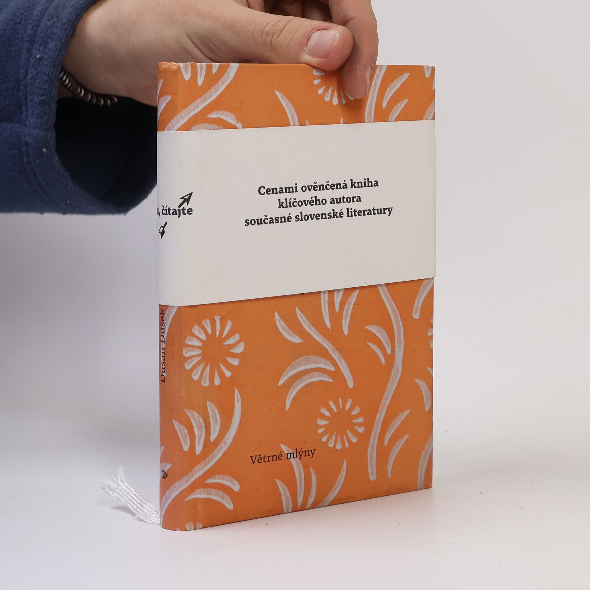 Dušan Dušek Pěšky do nebe