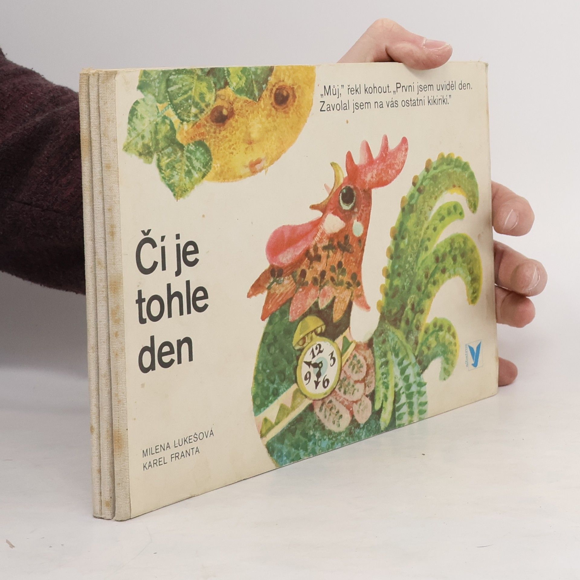 Milena Lukešová Čí je tohle den