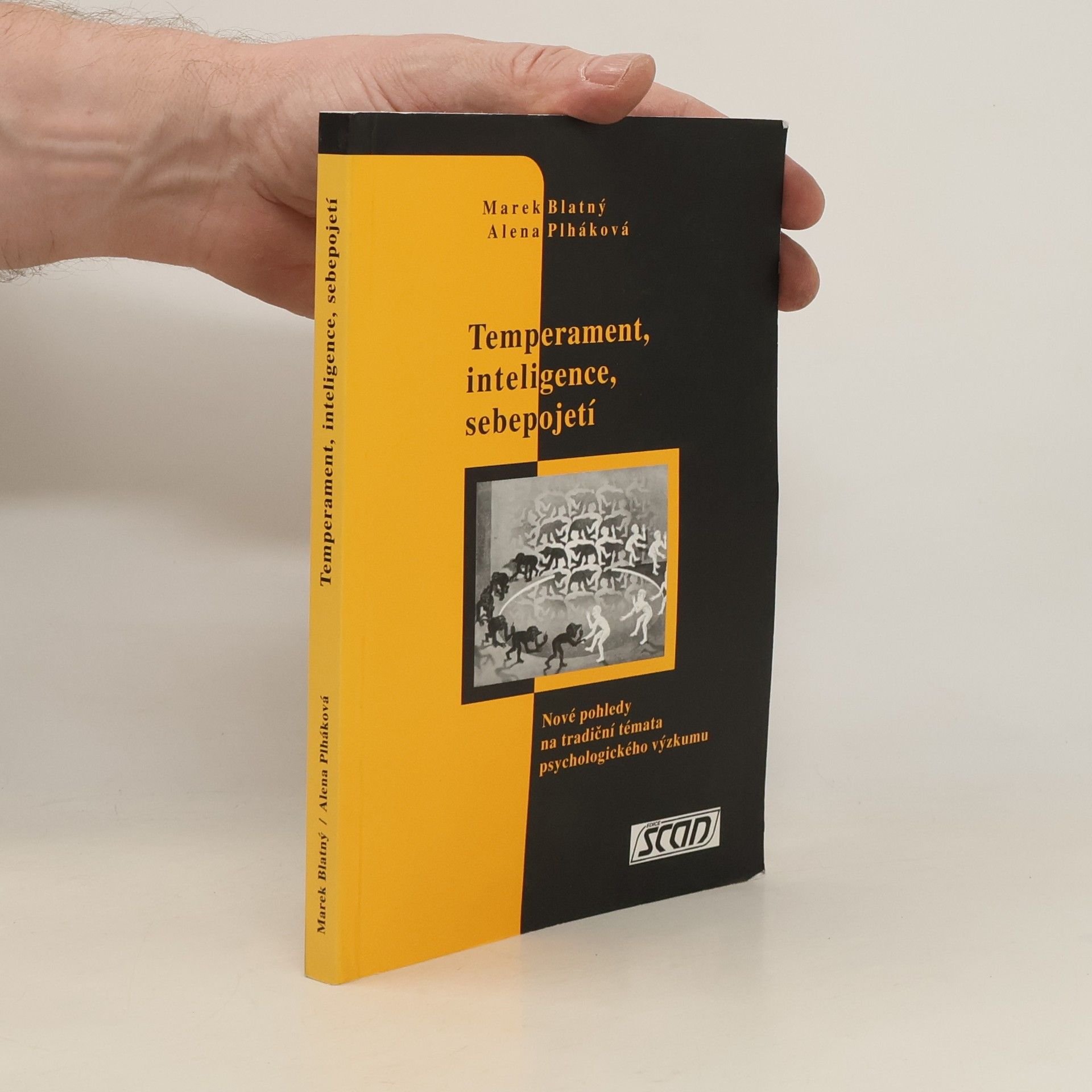 Temperament, inteligence, sebepojetí: nové pohledy na tradiční témata psychologického výzkumu