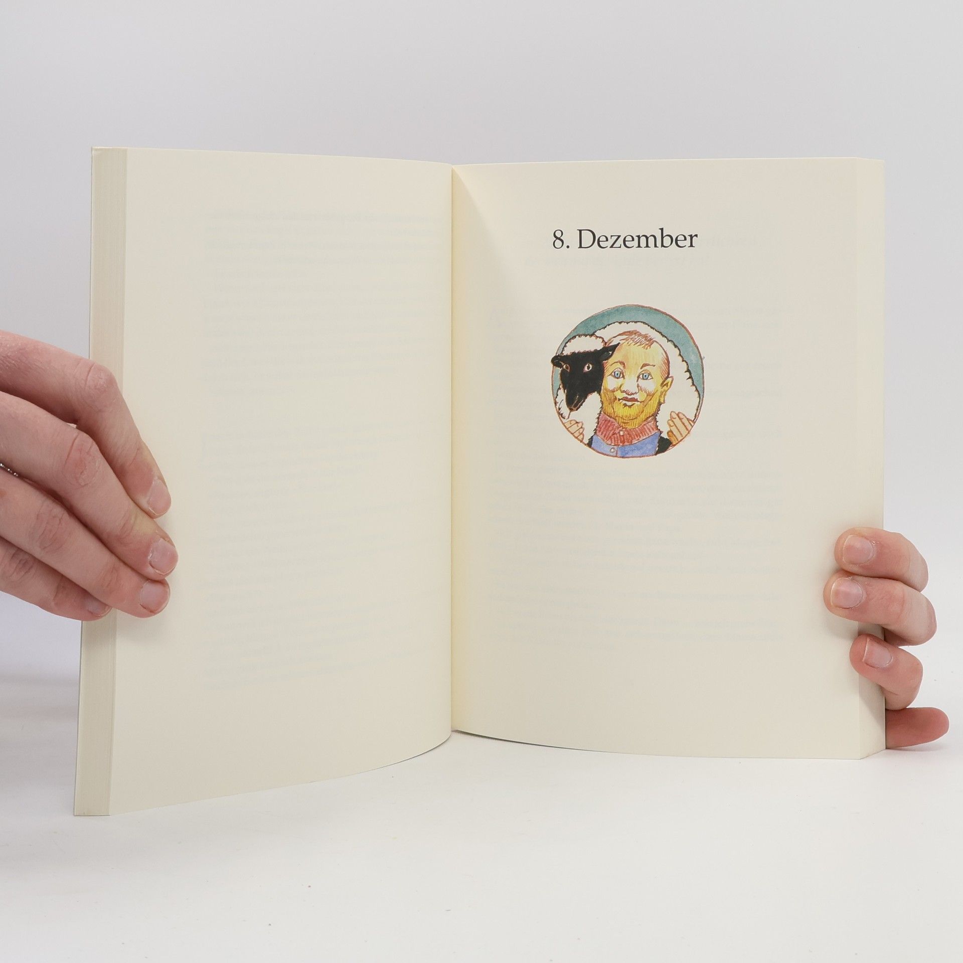 Jostein Gaarder Das Weihnachtsgeheimnis