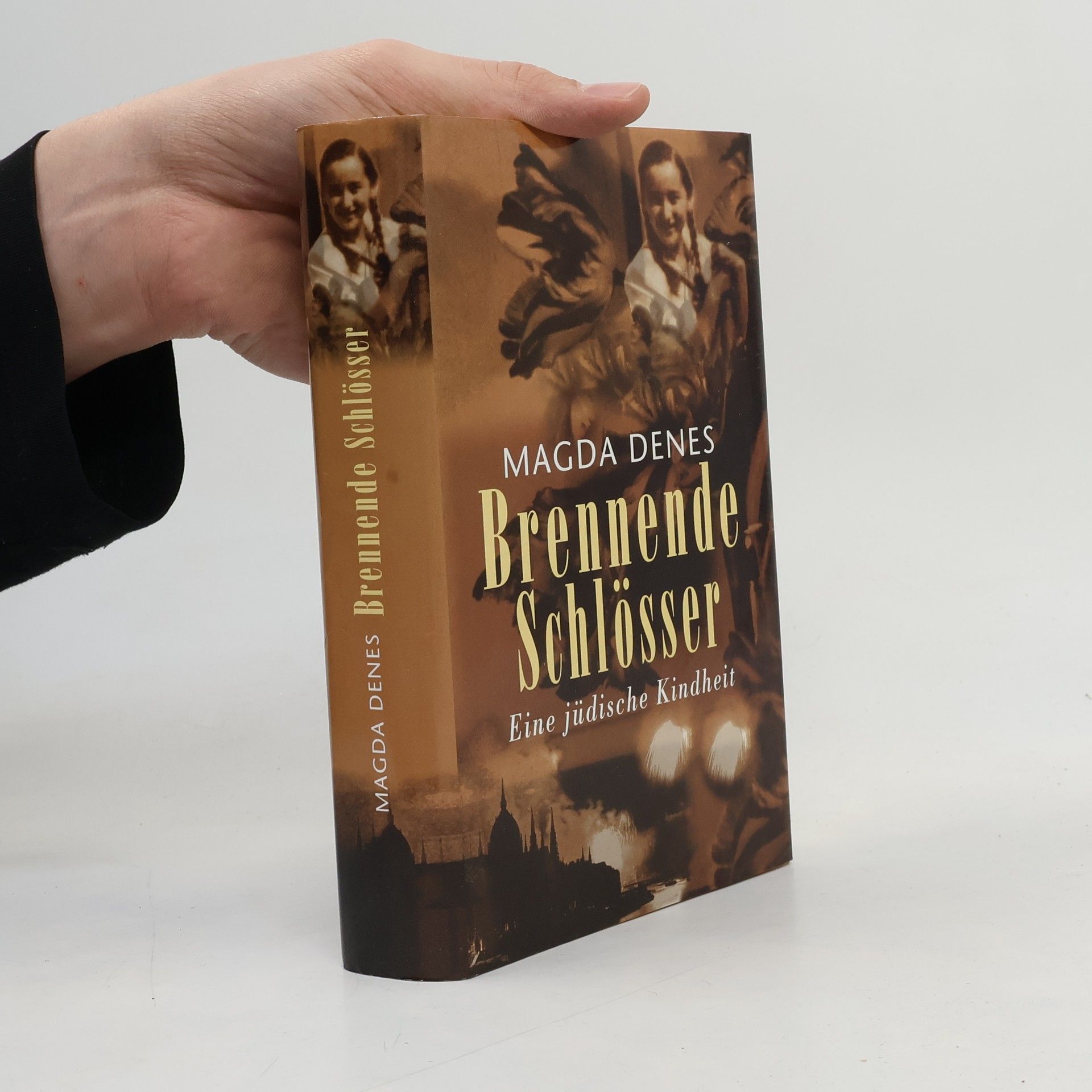 Magda Dénes Brennende Schlösser. Eine jüdische Kindheit