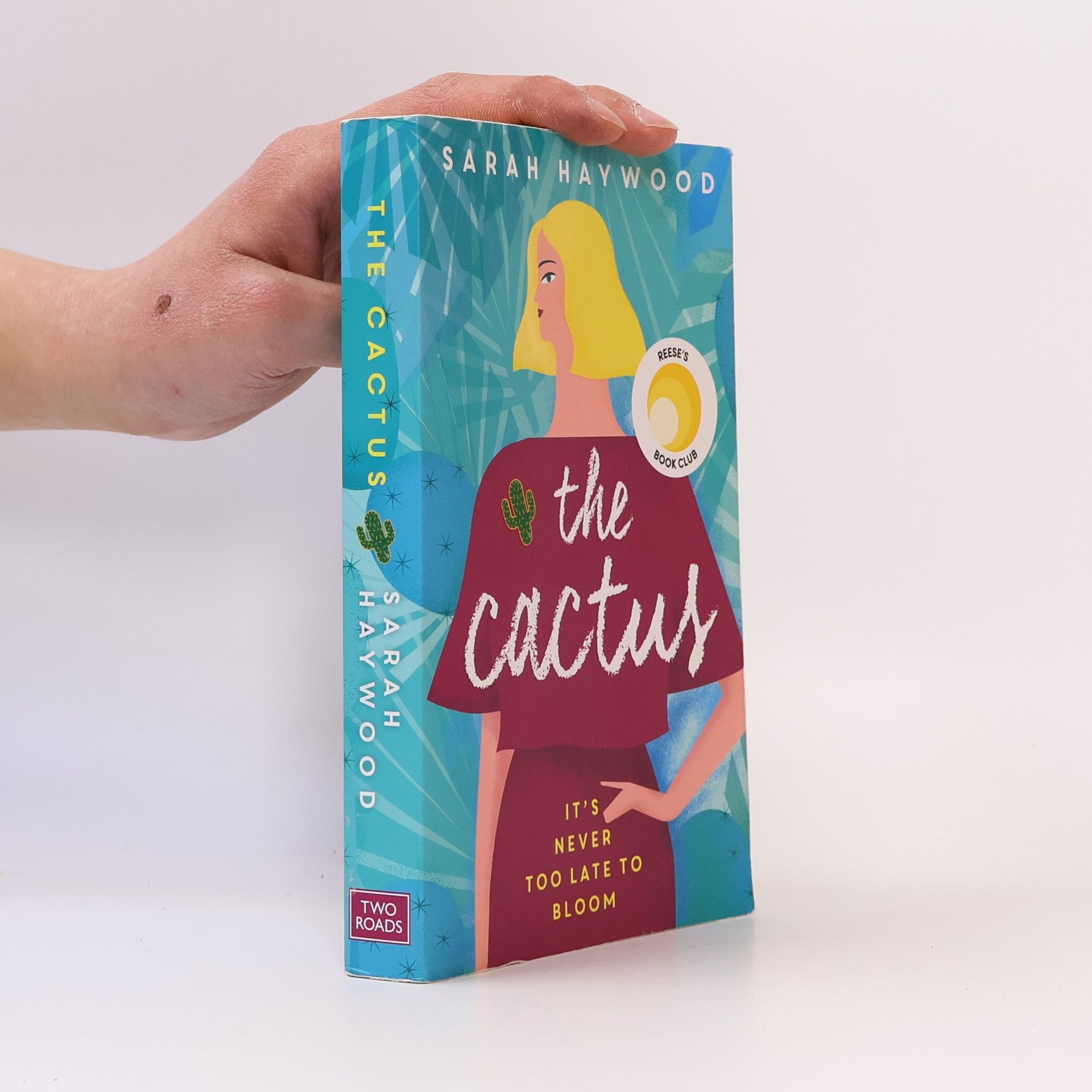 Sarah Haywood The Cactus