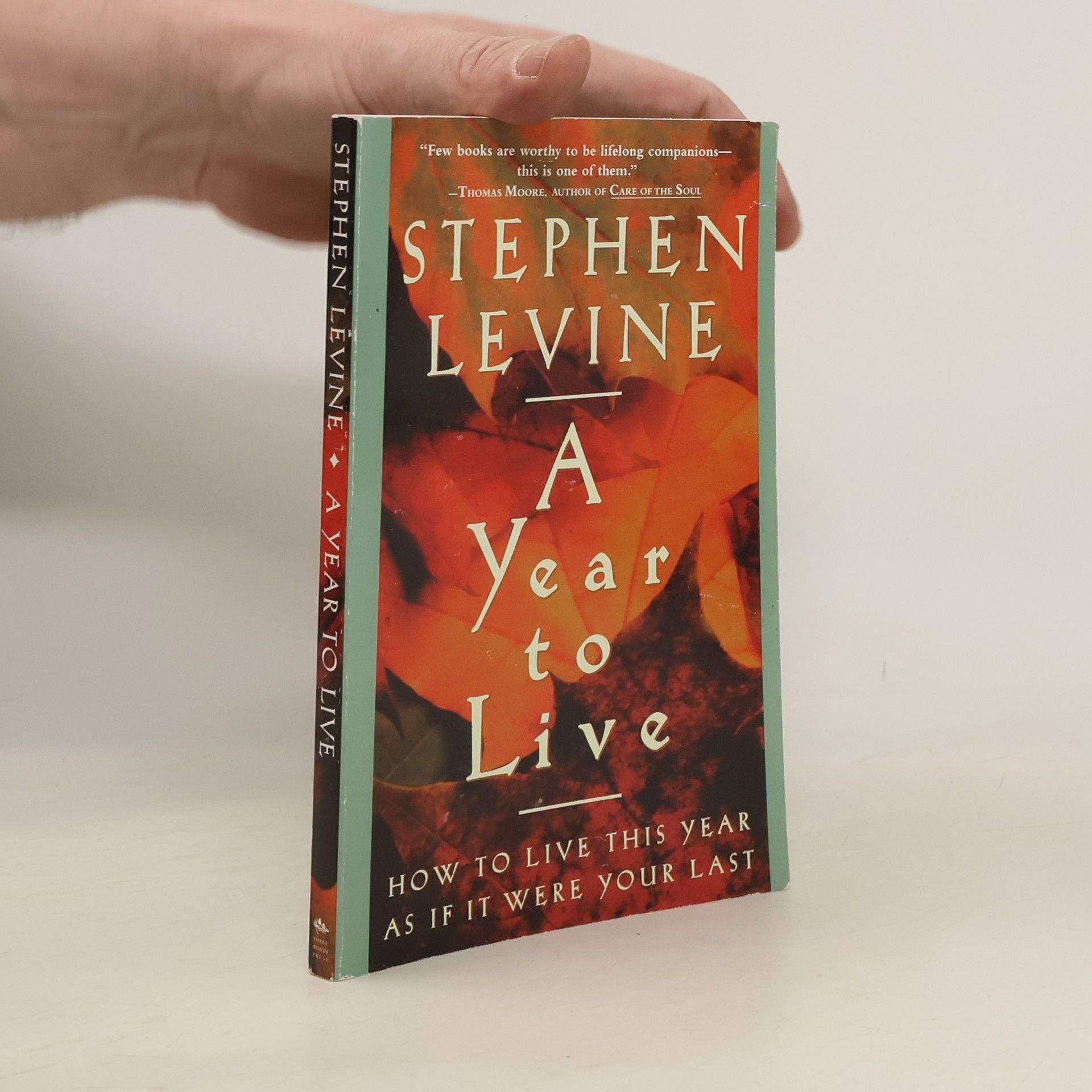 Stephen Levine A Year to Live