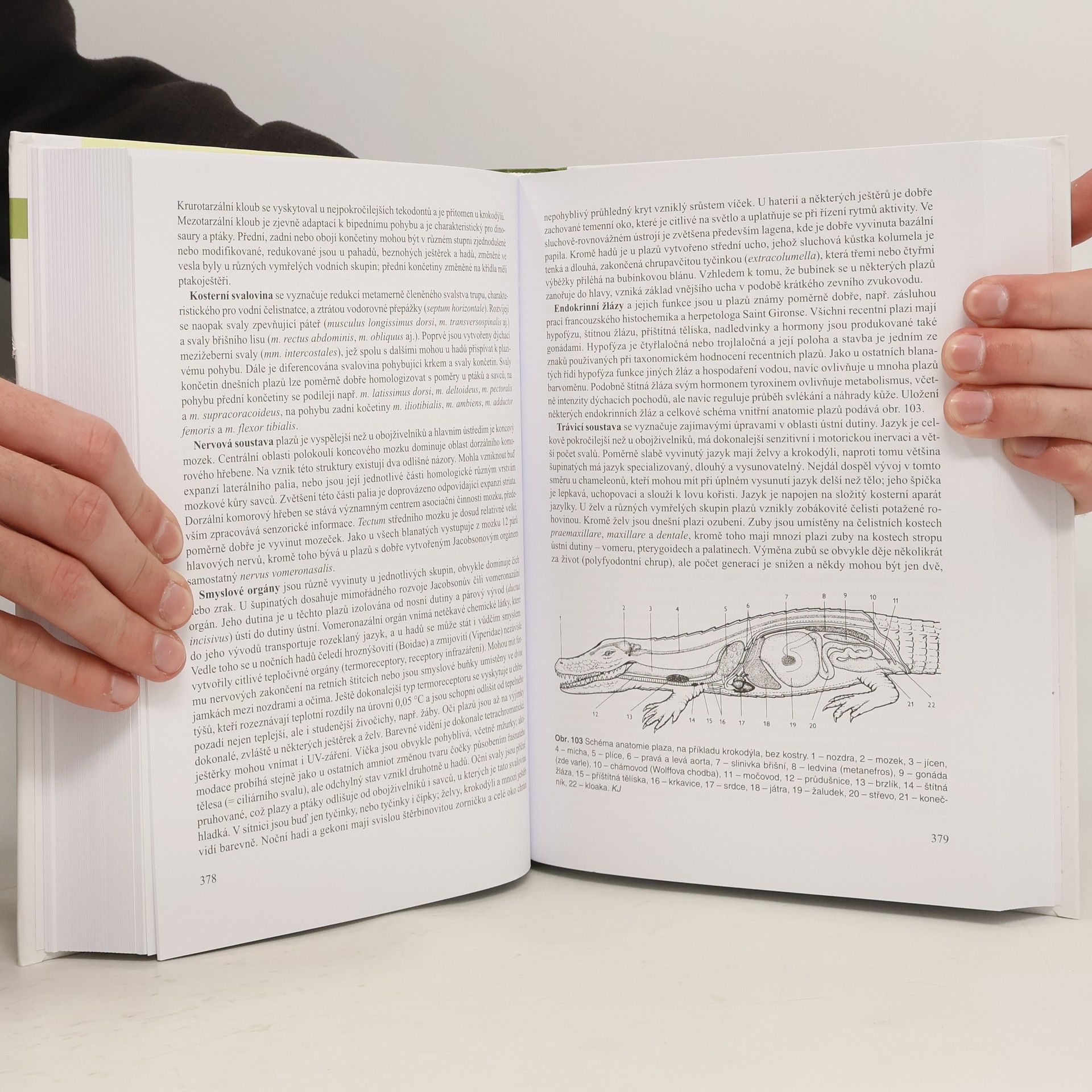 Jiří Gaisler Zoologie obratlovců