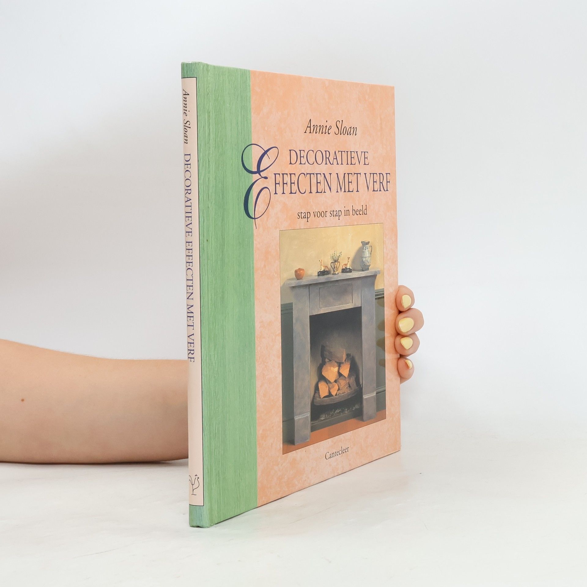 Annie Sloan Decoratieve effecten met verf