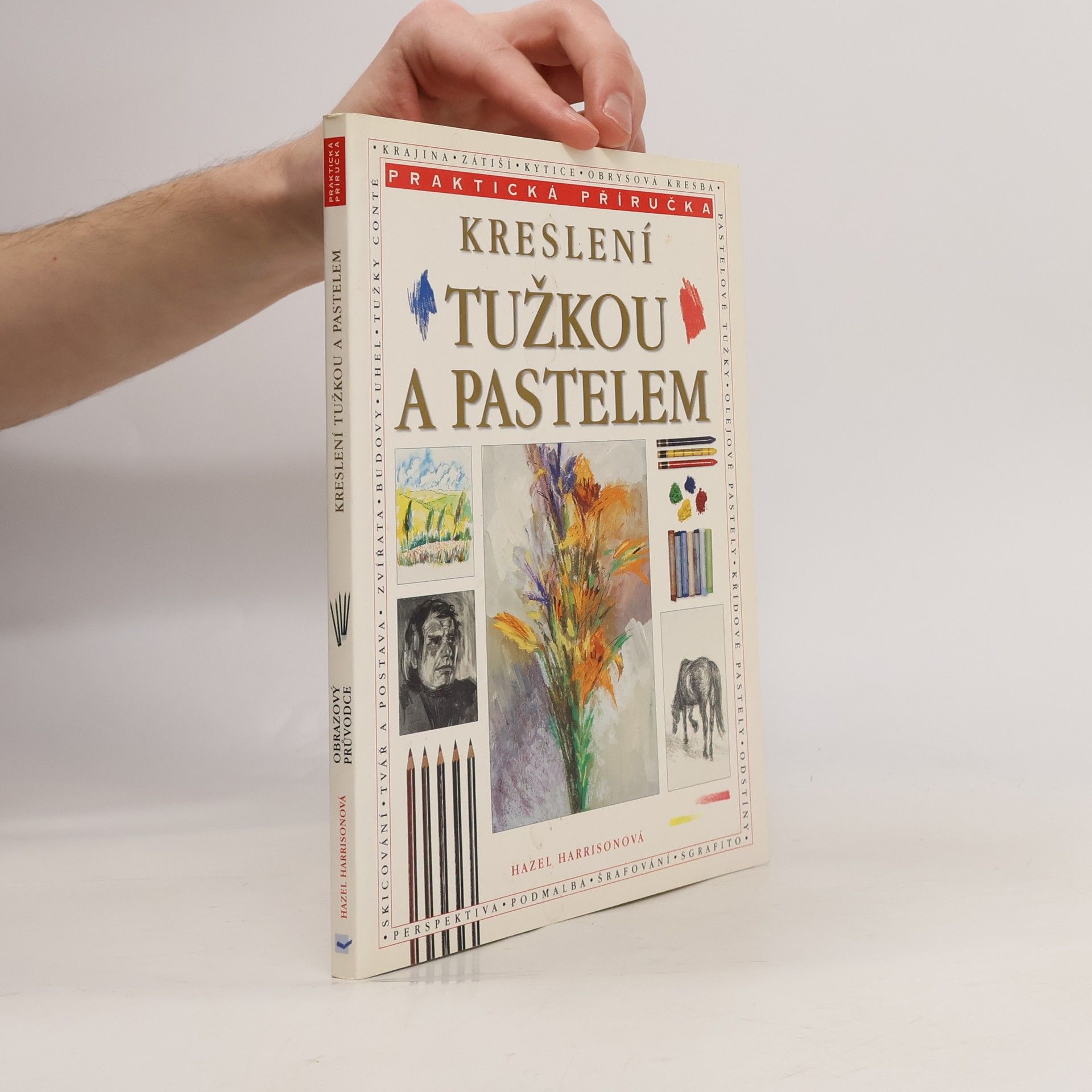 Hazel Harrison Kreslení tužkou a pastelem