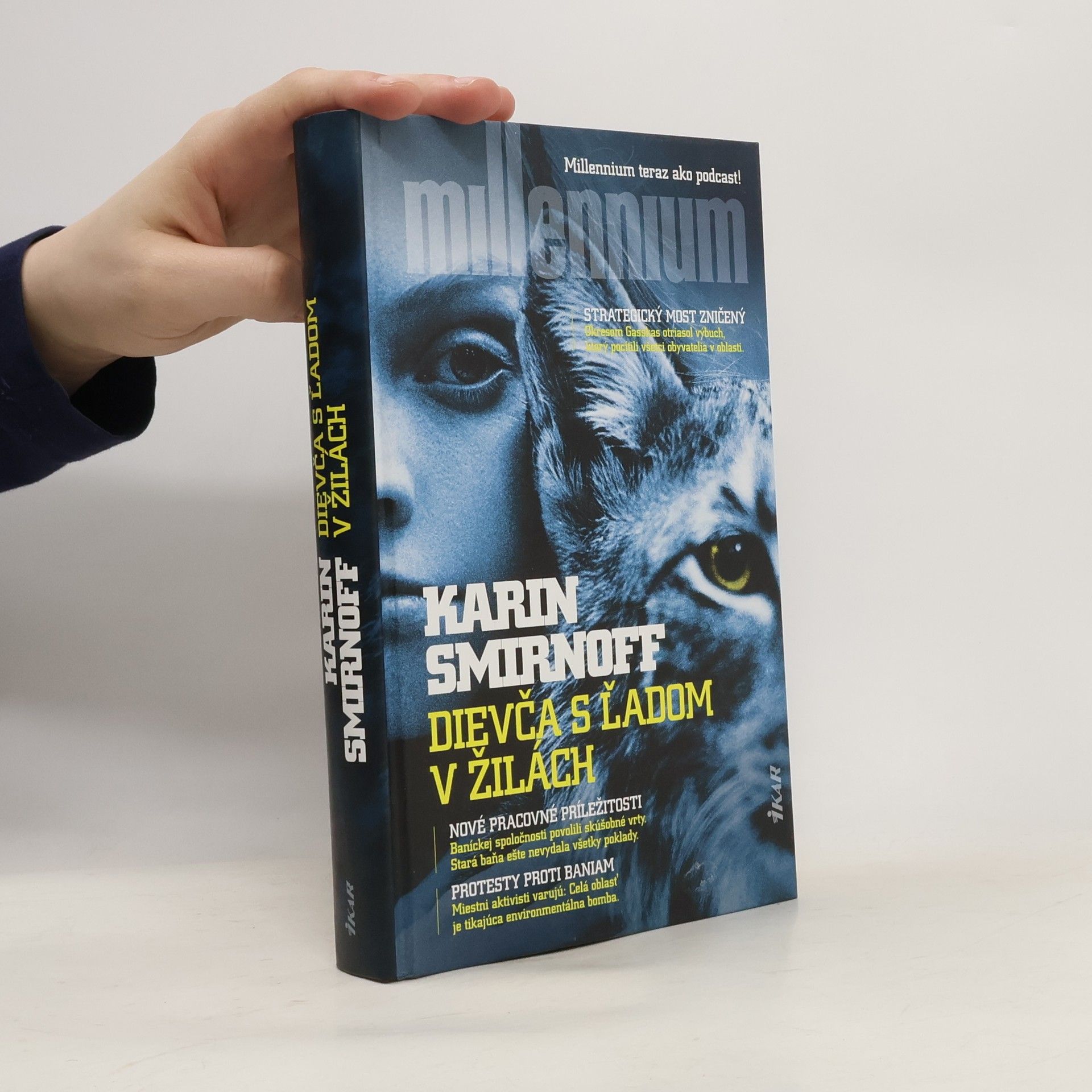 Karin Smirnoff Dievča s ľadom v žilách