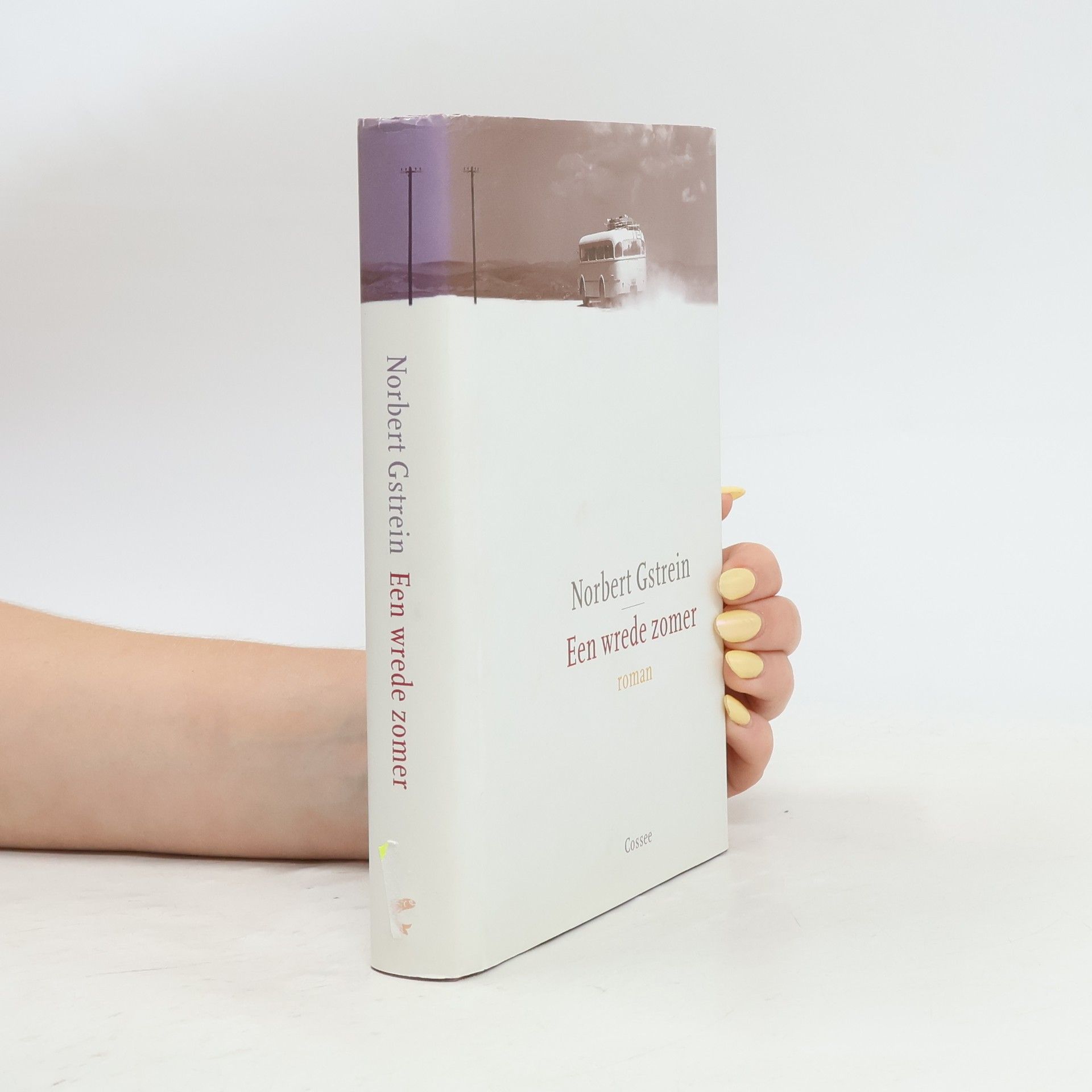 Norbert Gstrein Een wrede zomer