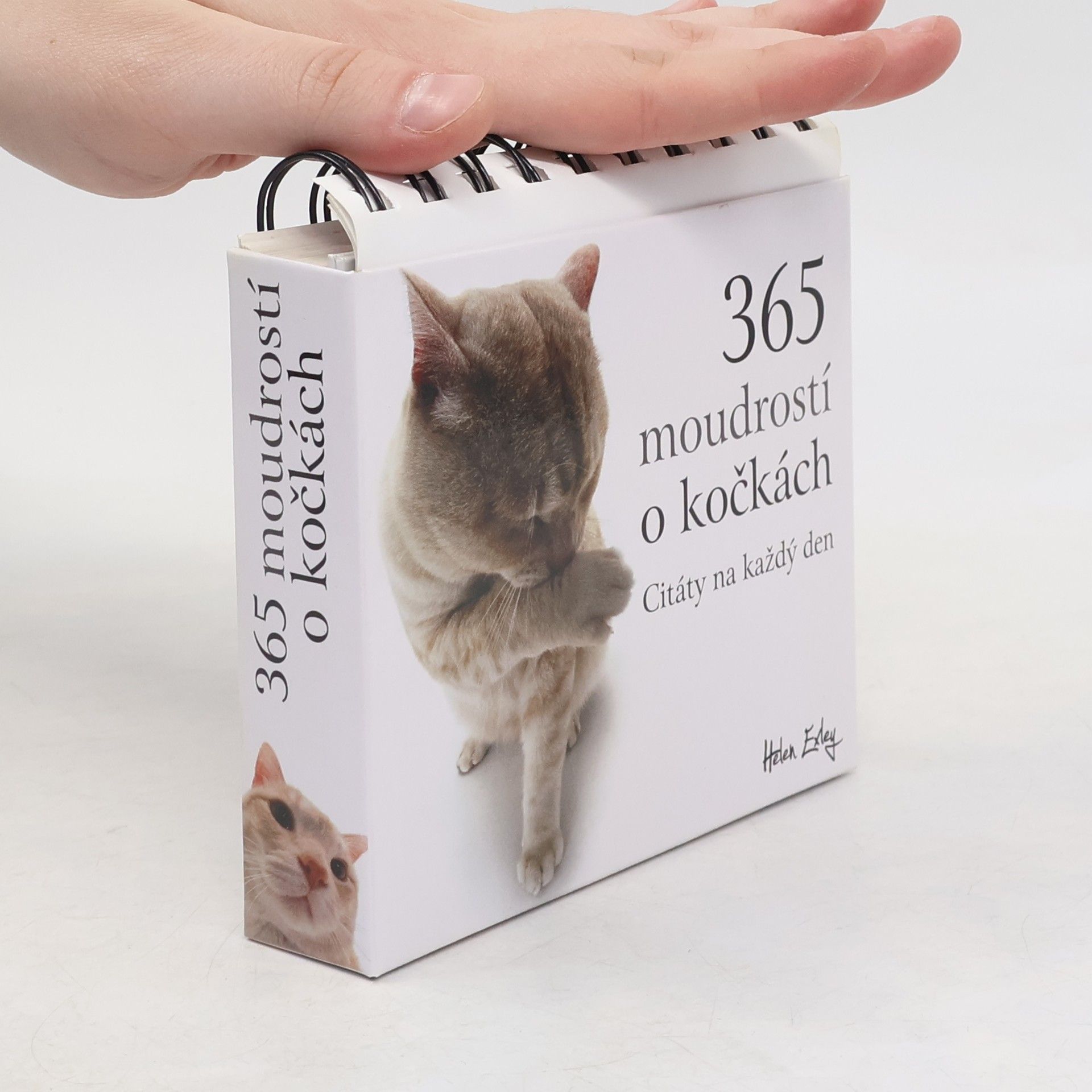 365 moudrostí o kočkách : citáty na každý den