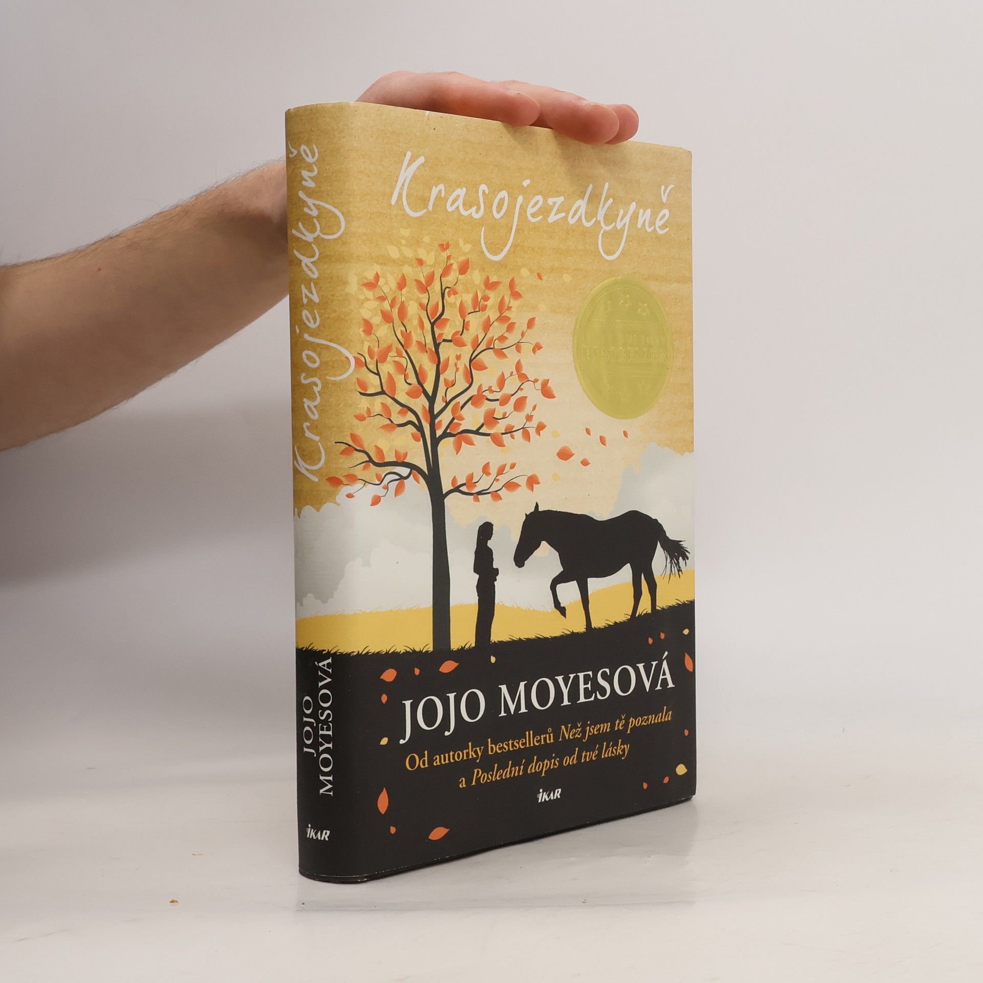 Jojo Moyes Krasojezdkyně