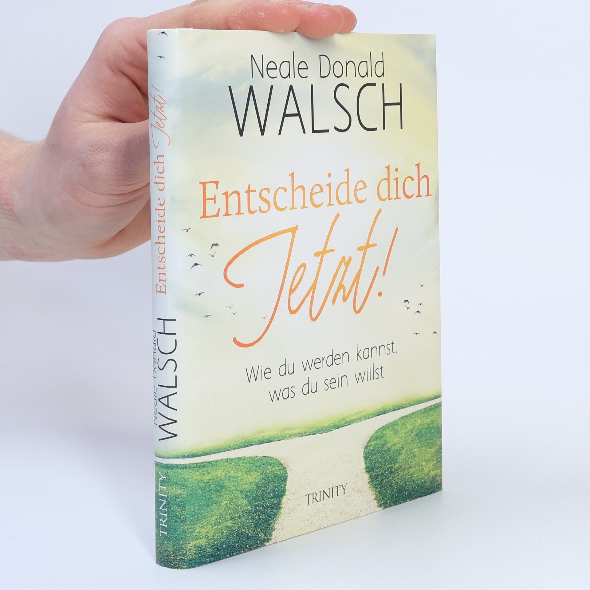 Neale Donald Walsch Entscheide dich jetzt!