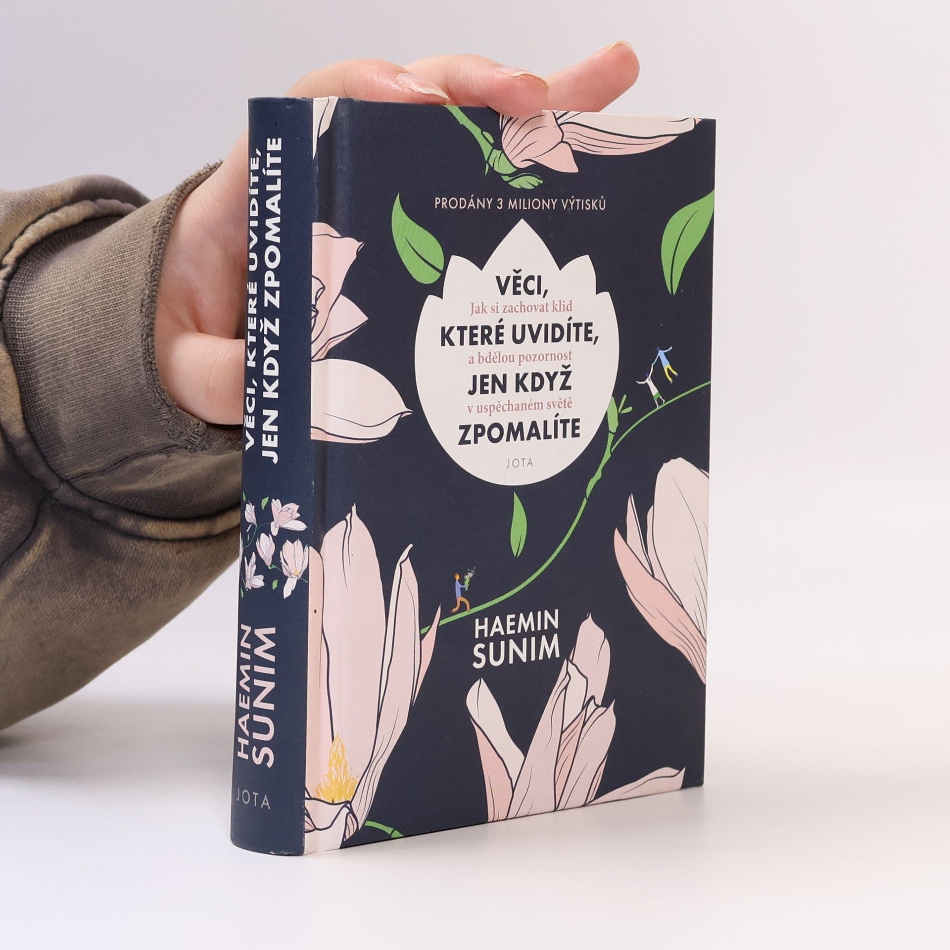 Sunim Haemin Věci, které uvidíte, jen když zpomalíte