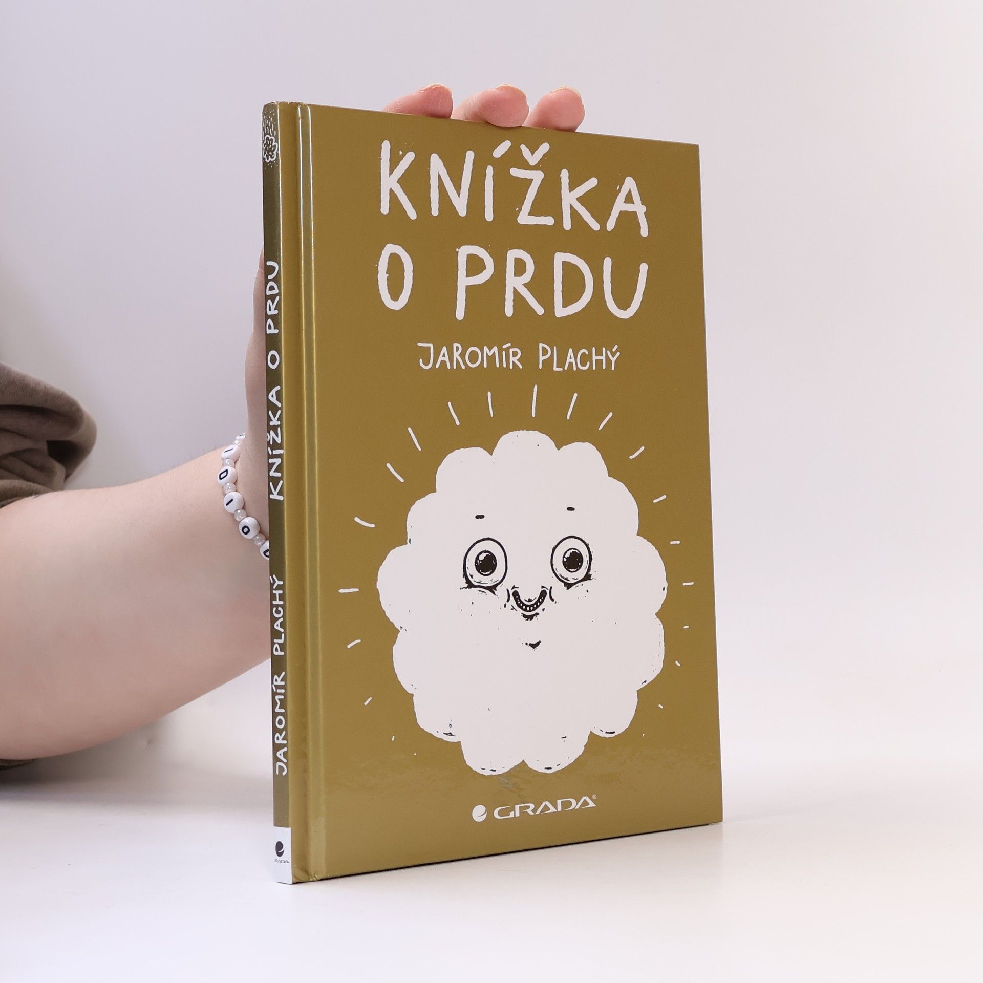 Jaromír Plachý Knížka o prdu