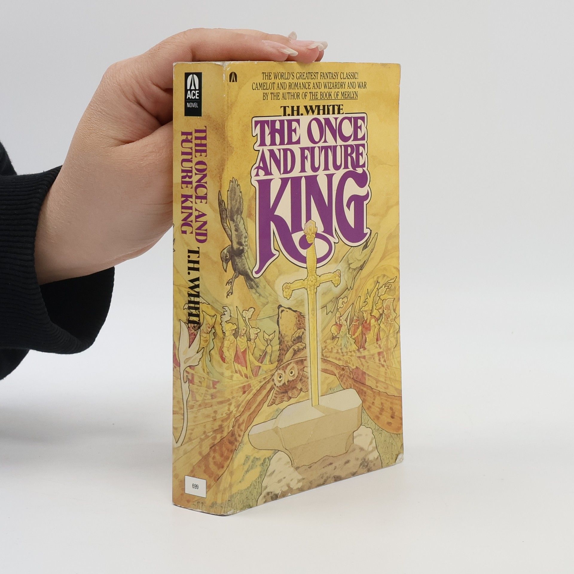 T. H. White Once and Future King