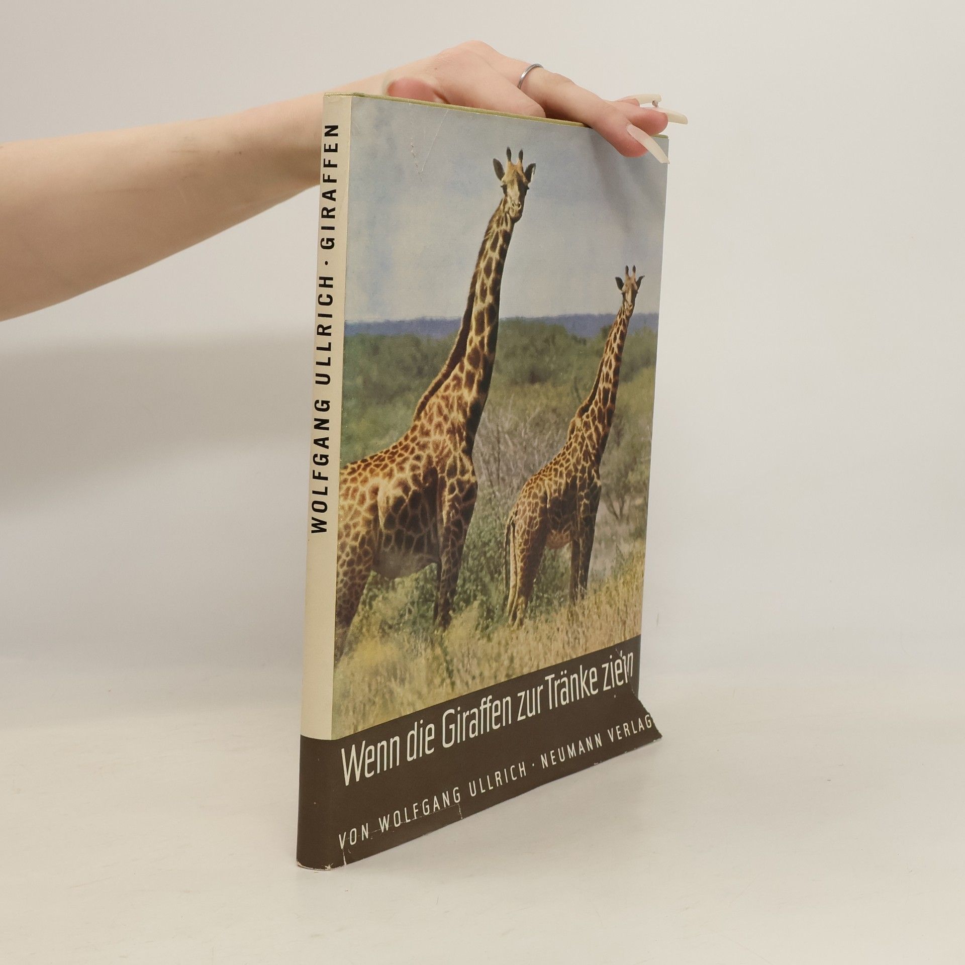 Wolfgang Ullrich Giraffen