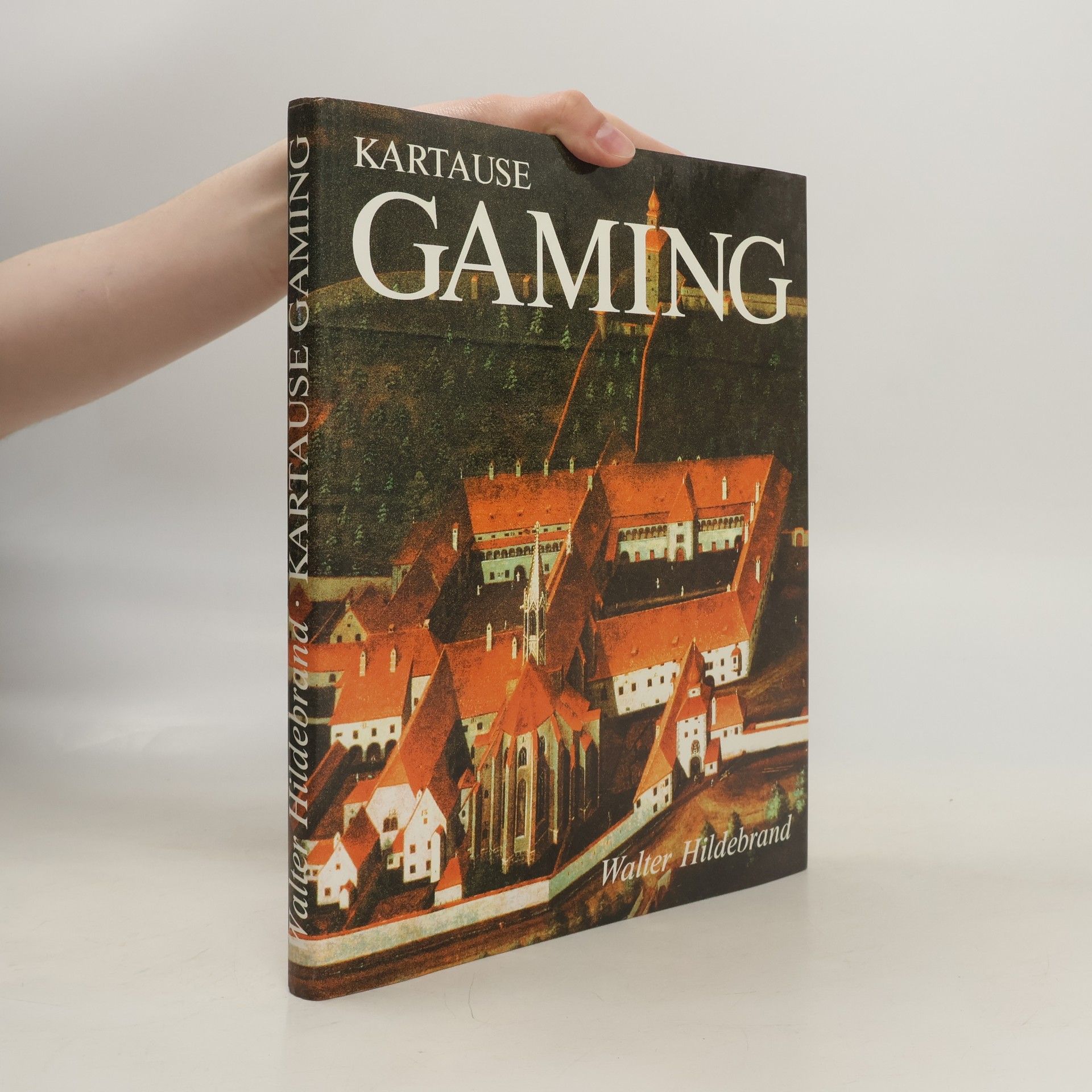 Walter Hildebrand Kartause Gaming : die umweltfreundliche gotische Stadt