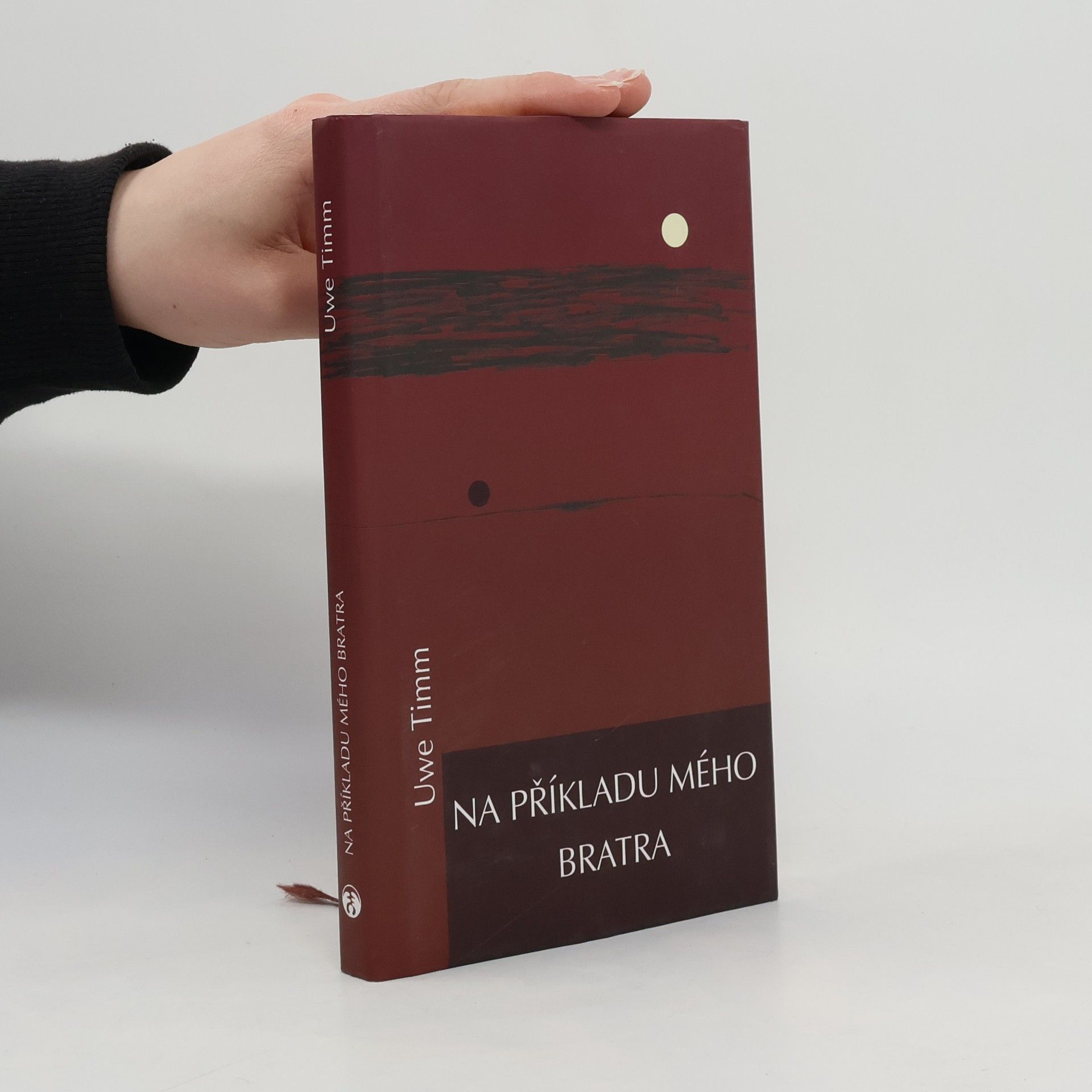 Uwe Timm Na příkladu mého bratra