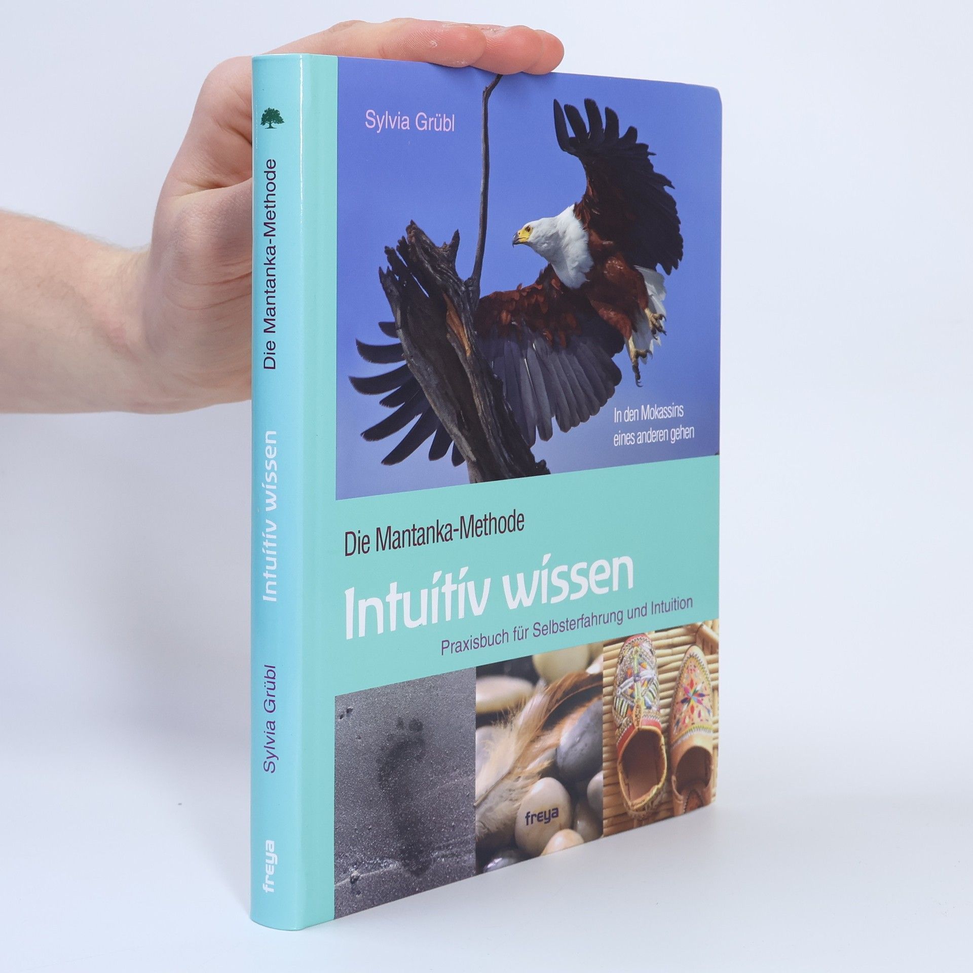 Sylvia Grübl Intuitiv Wissen