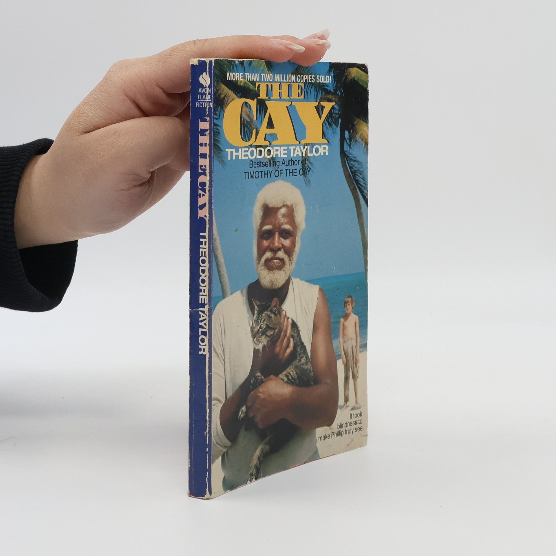 Theodore Taylor The Cay