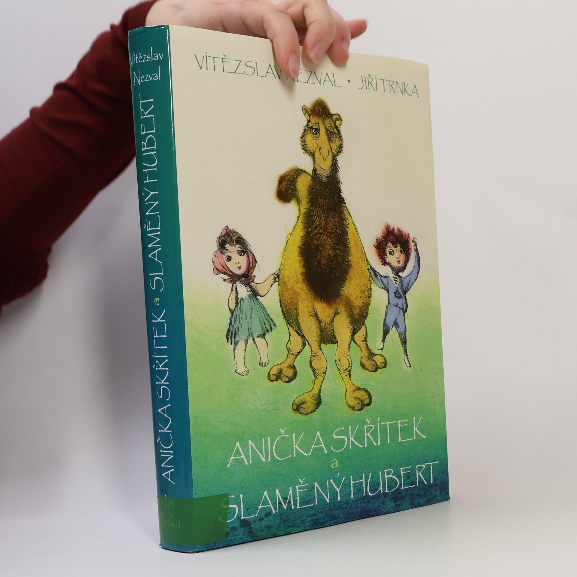 Anička skřítek a Slaměný Hubert