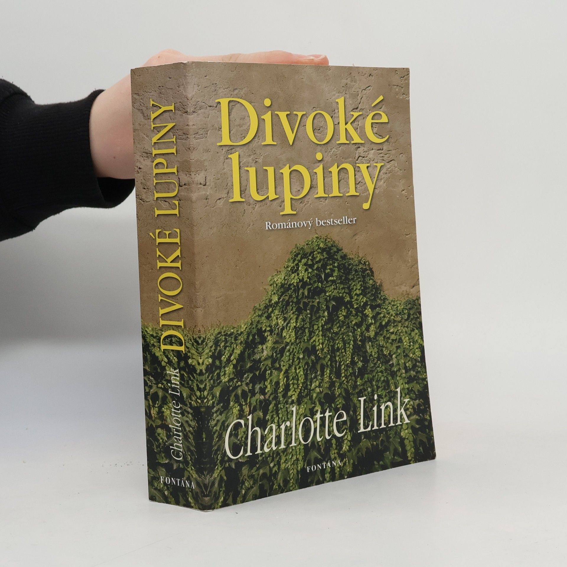 Charlotte Link Divoké lupiny