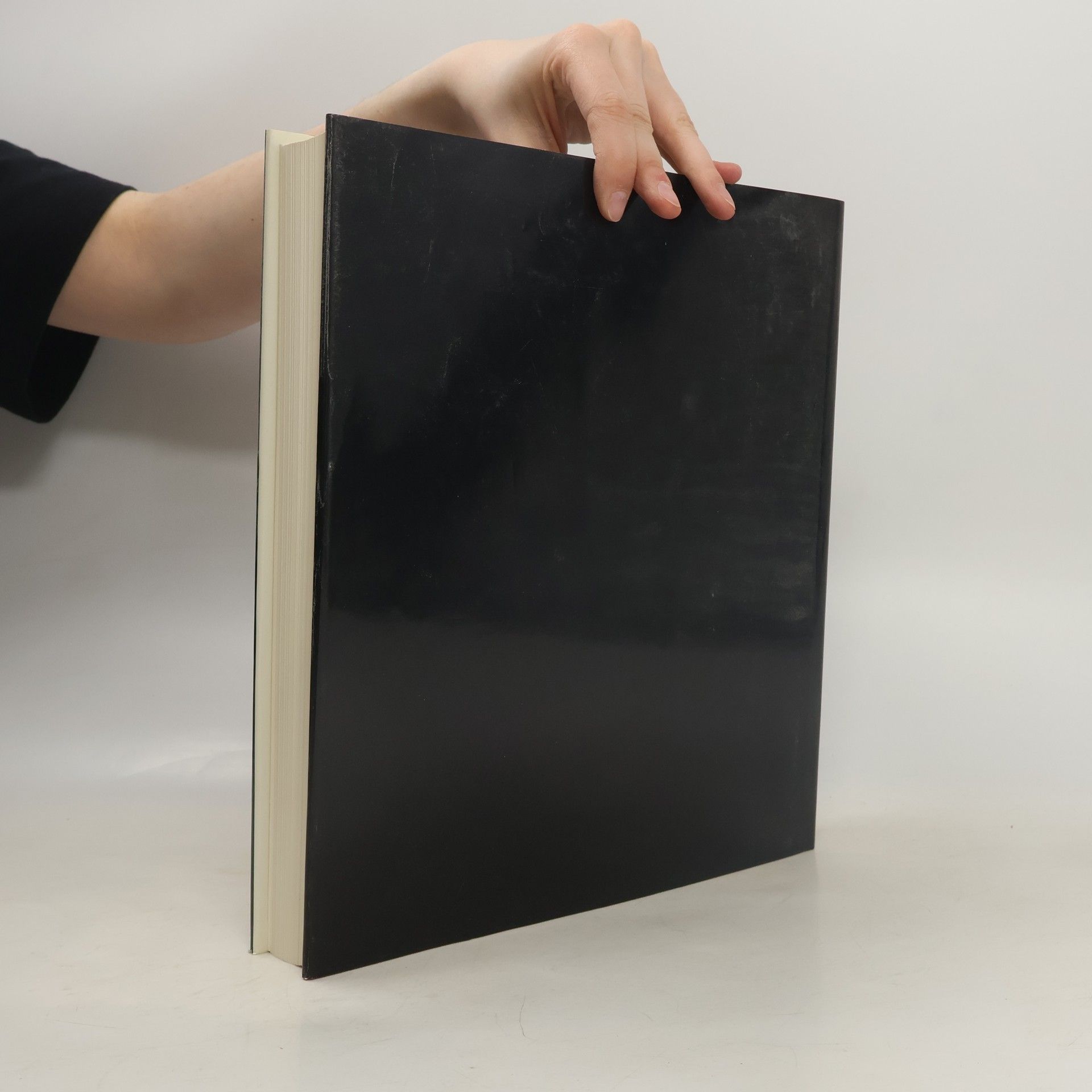 Walter Cahn Die Bibel in der Romanik