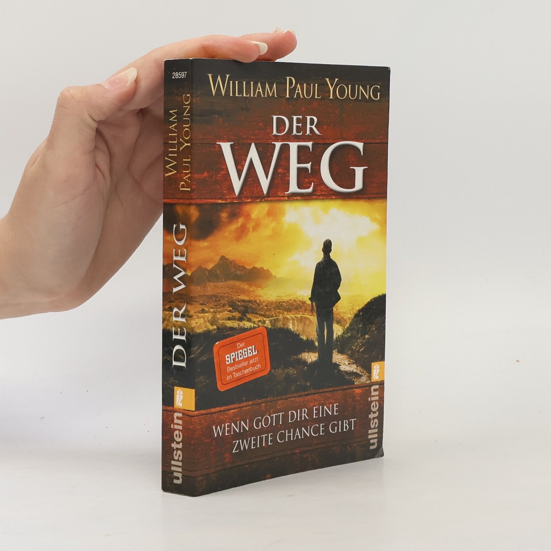 William Paul Young Der Weg