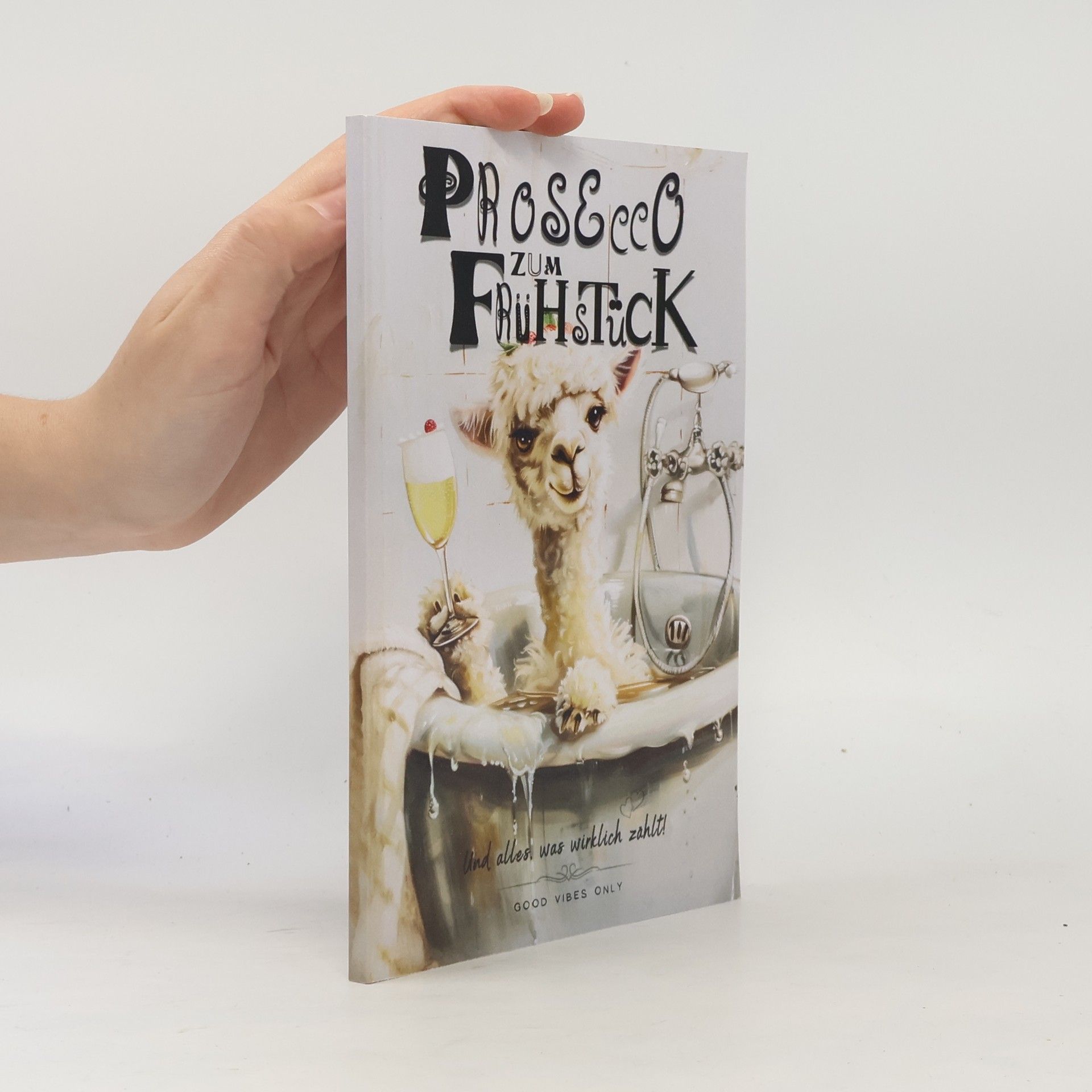 Christian Graf Prosecco zum Frühstück – und alles, was wirklich zählt - Weil das Leben ein einziges Chaos ist: Die tägliche Meisterschaft im Umgang mit dem Schlamassel des Lebens.