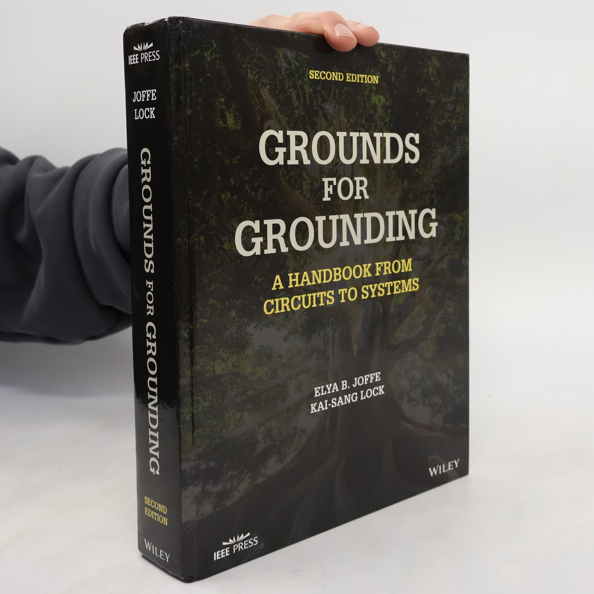 Elya B. Joffe Grounds for Grounding