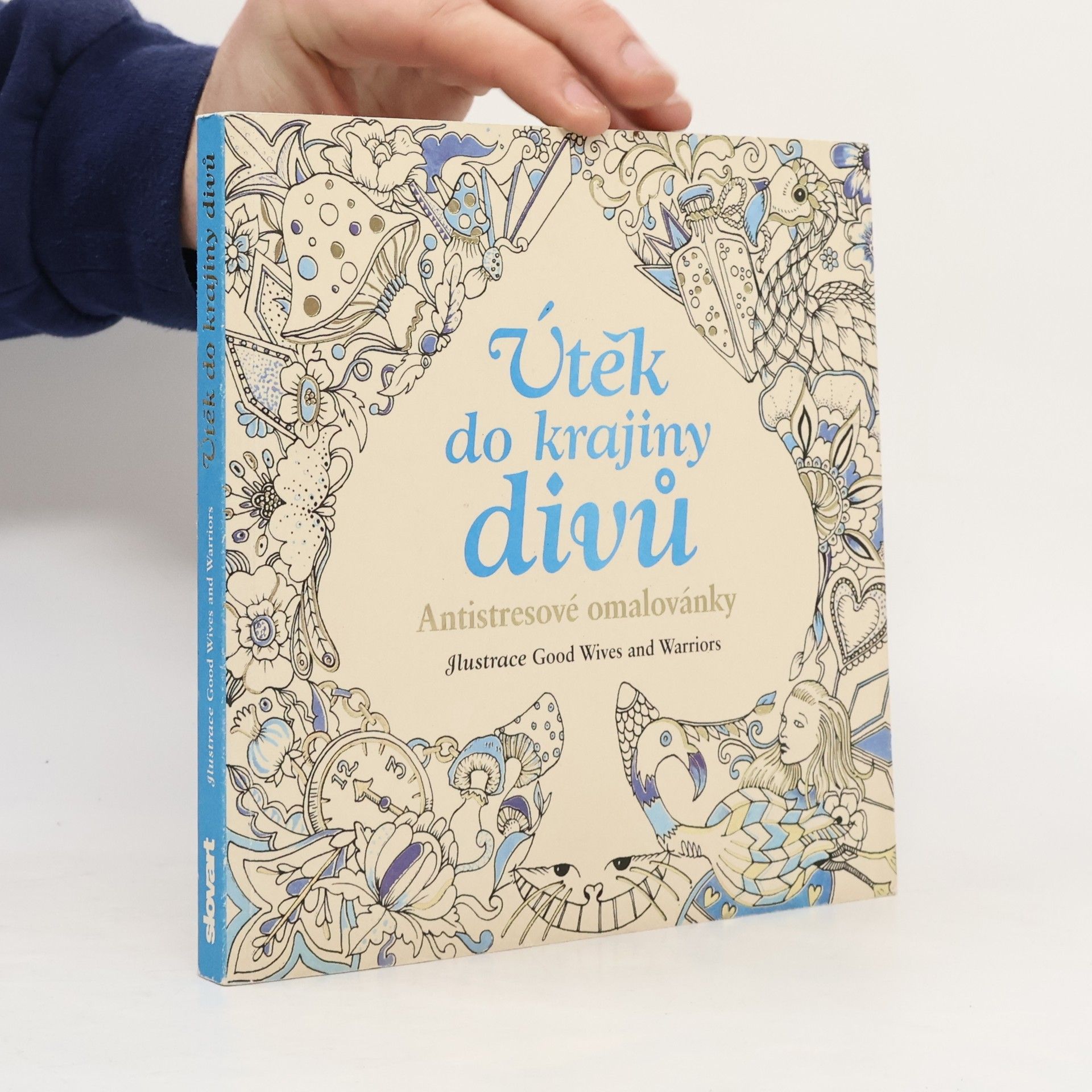 Autorenkollektiv Útěk do krajiny divů