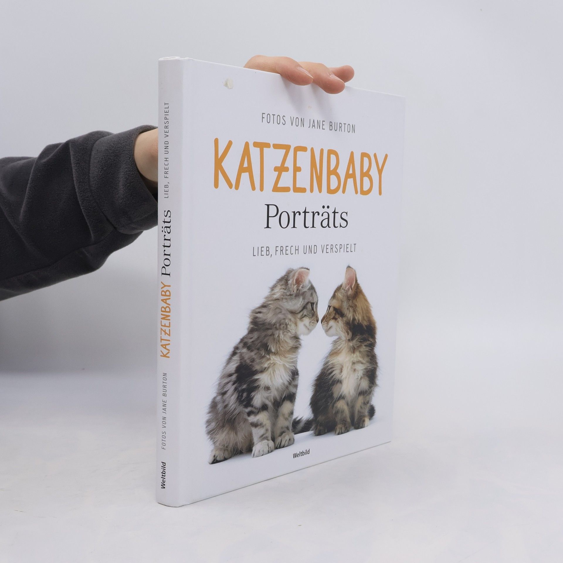 Jane Burton Katzenbaby