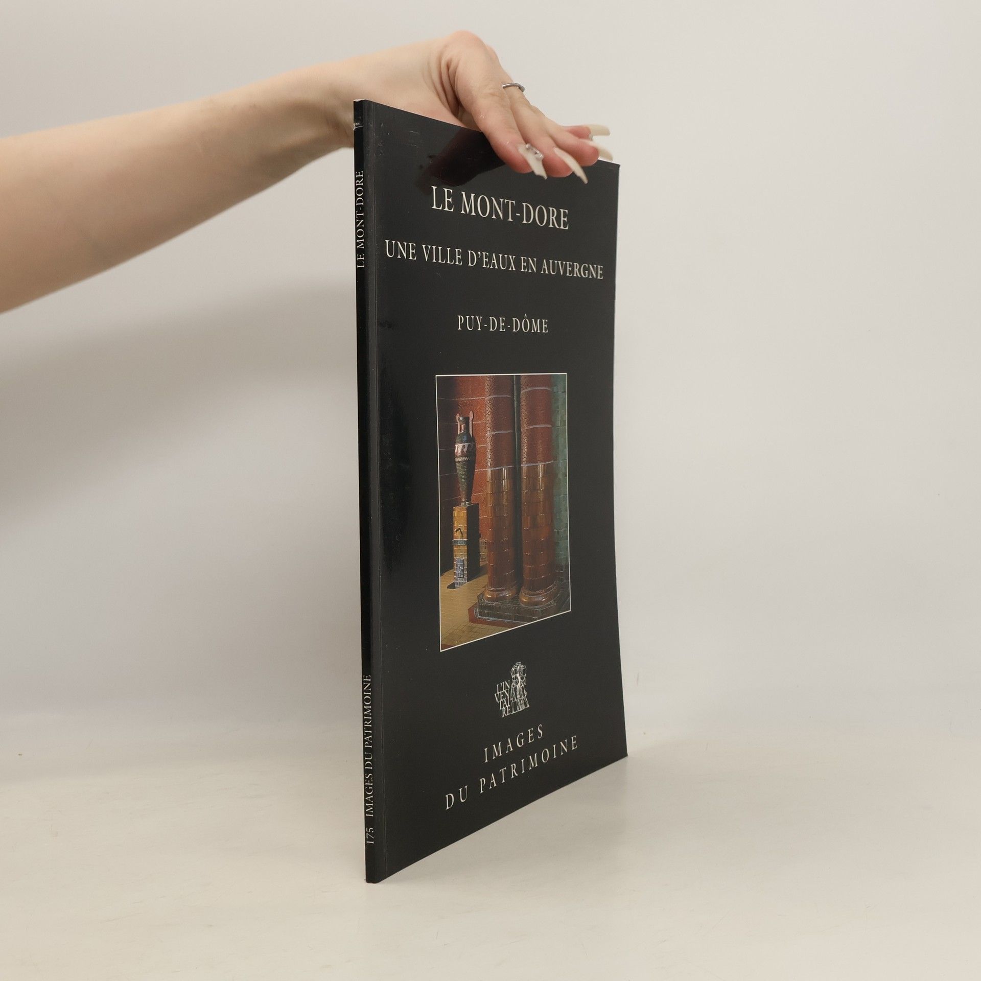 Brigitte Ceroni Le Mont-Dore, une ville d'eaux en Auvergne, Puy-de Dôme