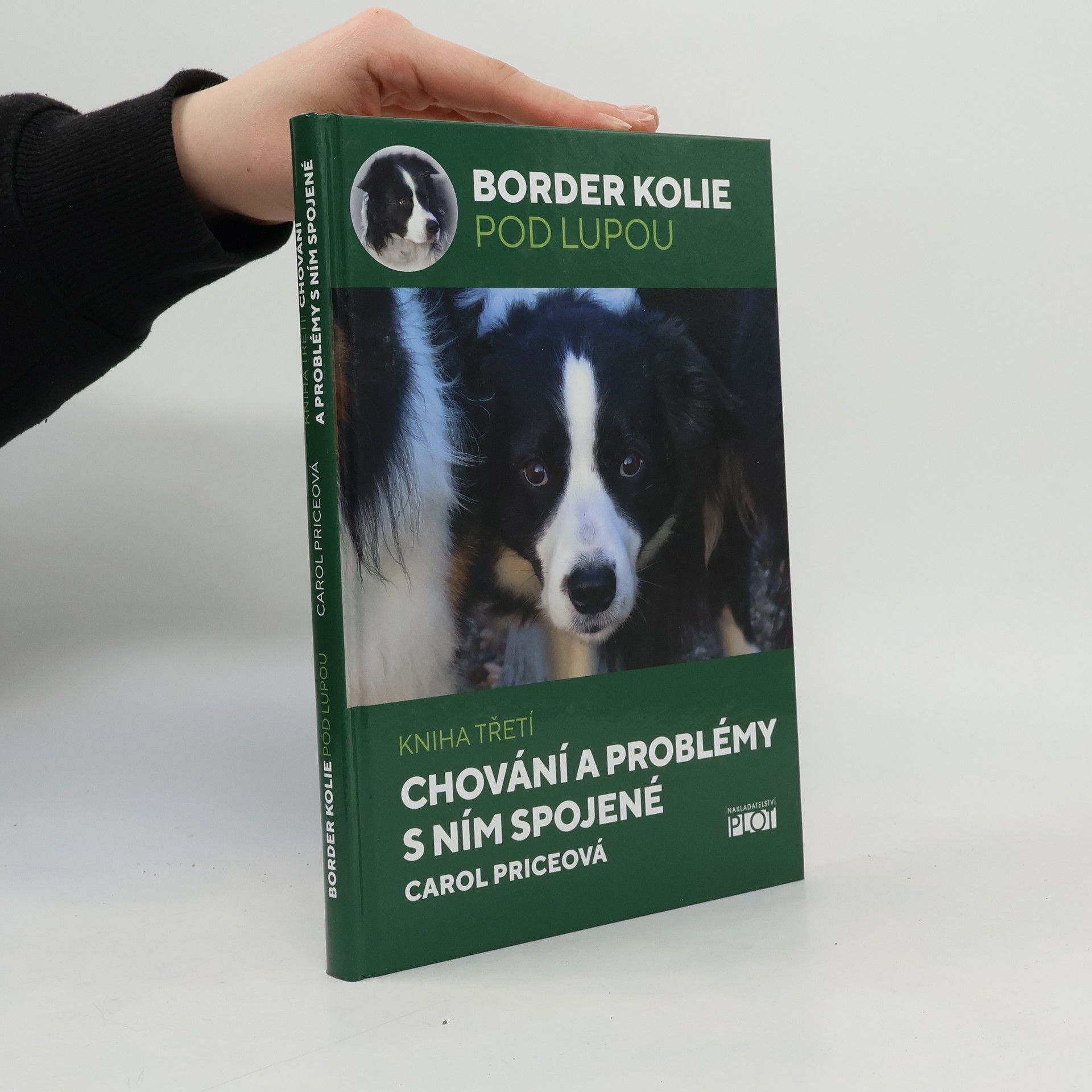 Carol Price Chování a problémy s ním spojené