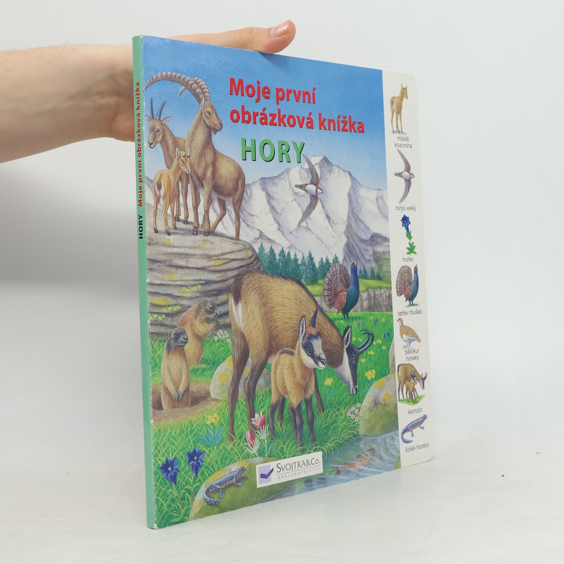 Auteurscollectief Hory - Moja první obrázková knižka