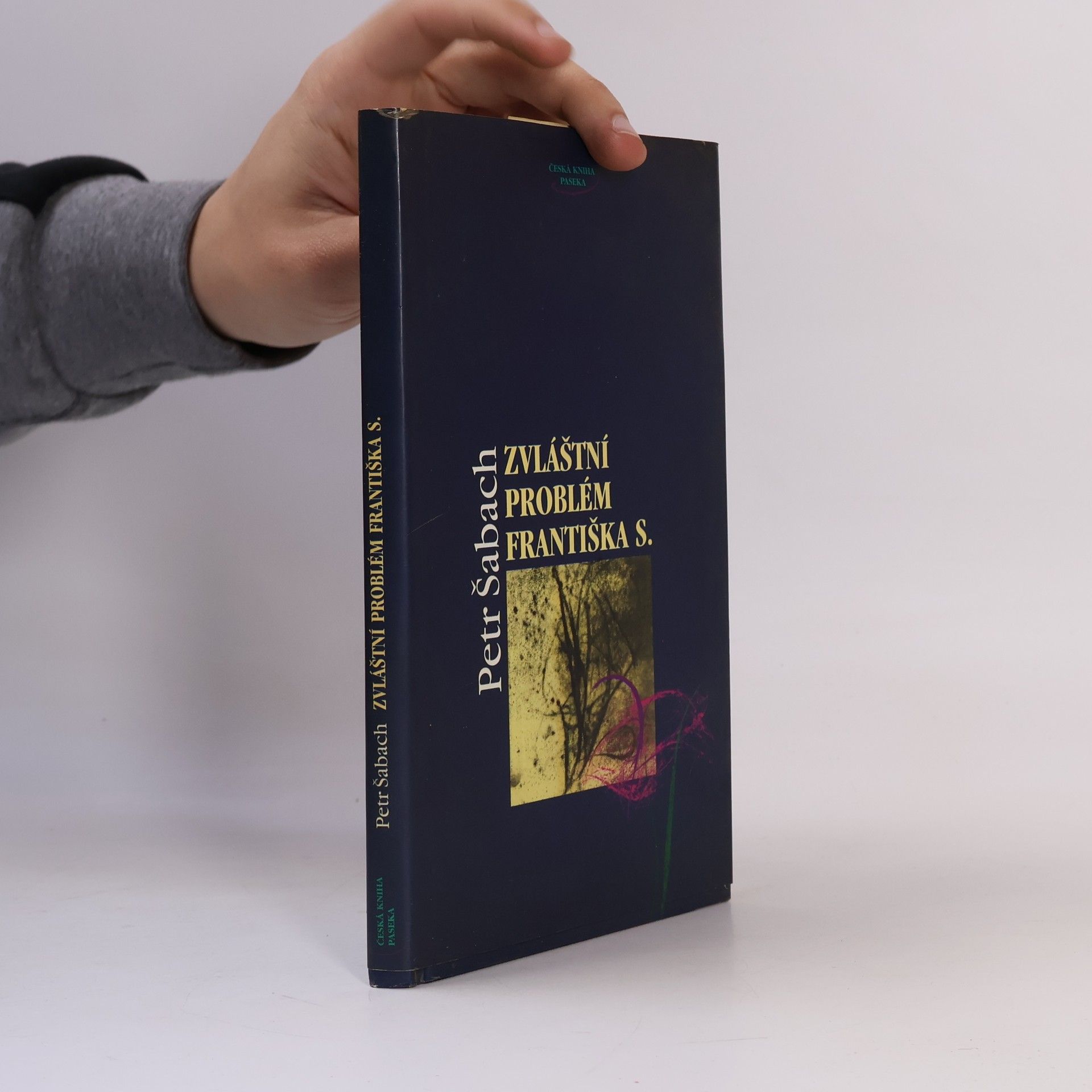 Petr Šabach Zvláštní problém Františka S