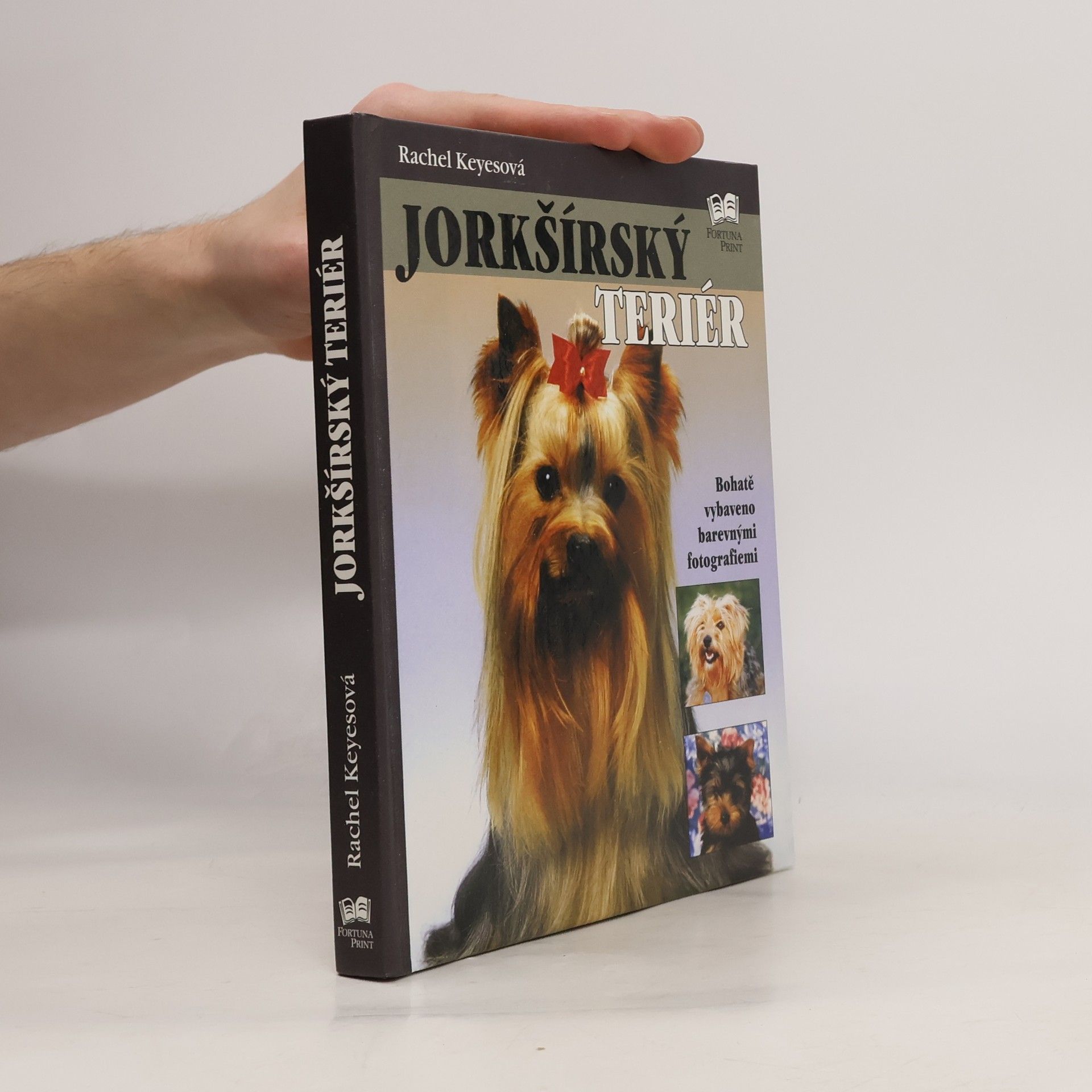 Rachel Keyes Jorkšírský teriér