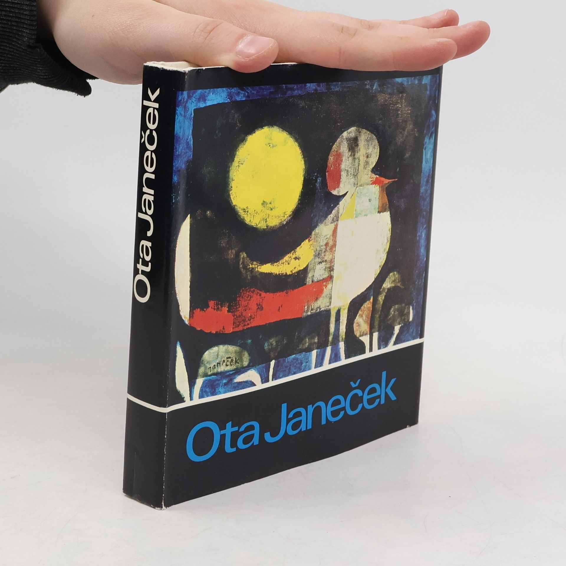 Autorenkollektiv Ota Janeček