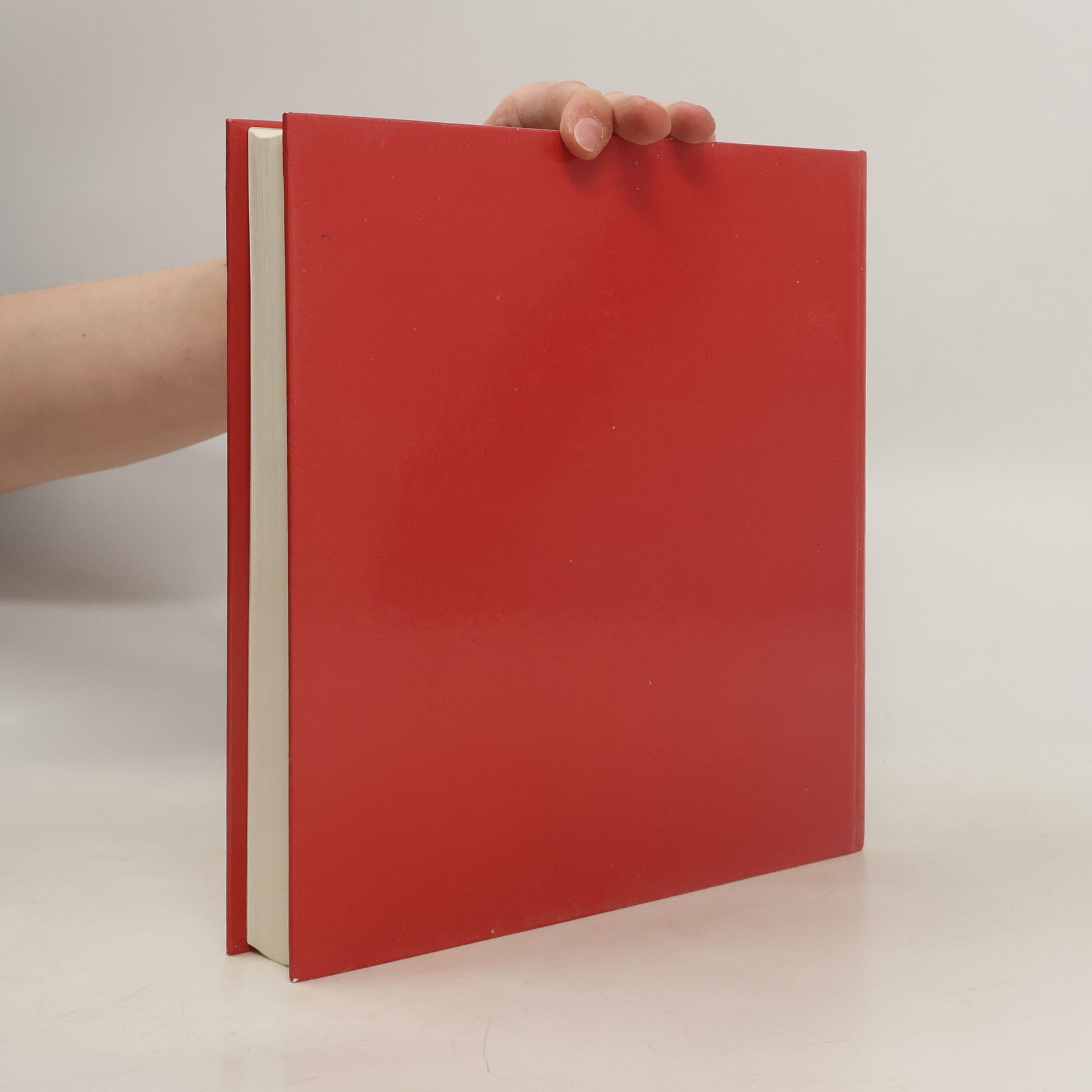 Autores varios Schallaburg '89. Prager Barock