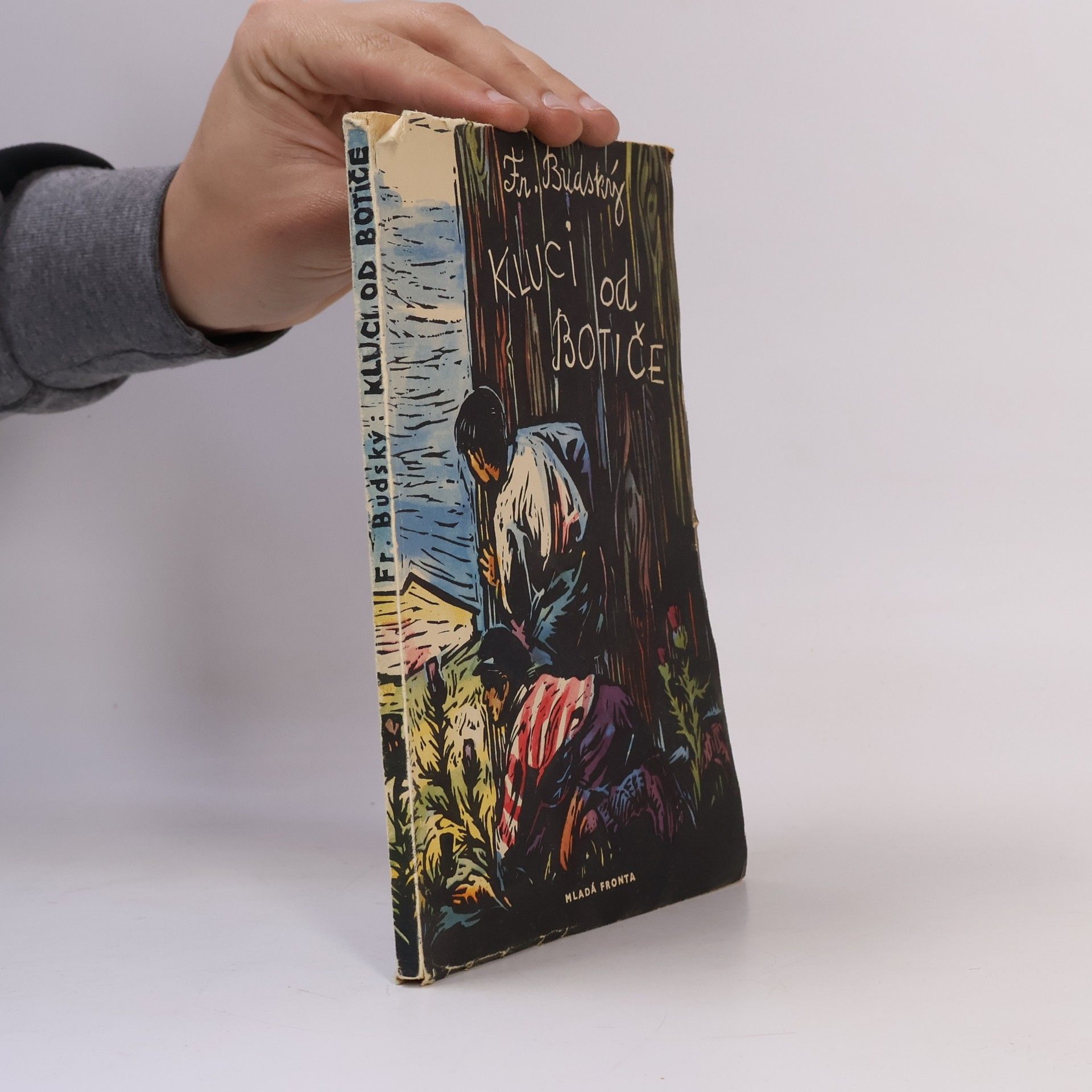 František Budský Kluci od Botiče